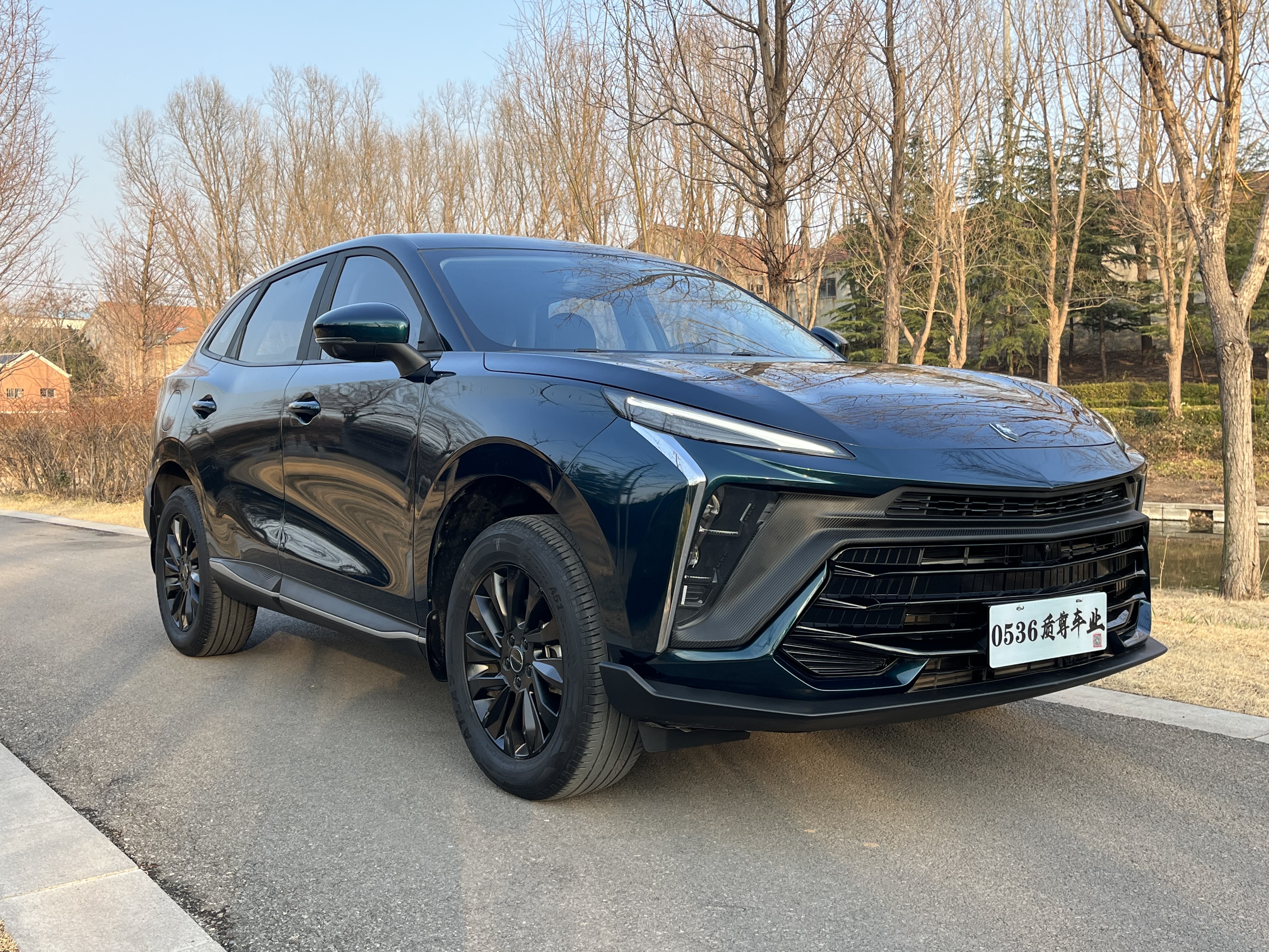 Forthing T5 EVO 2024 car image #3