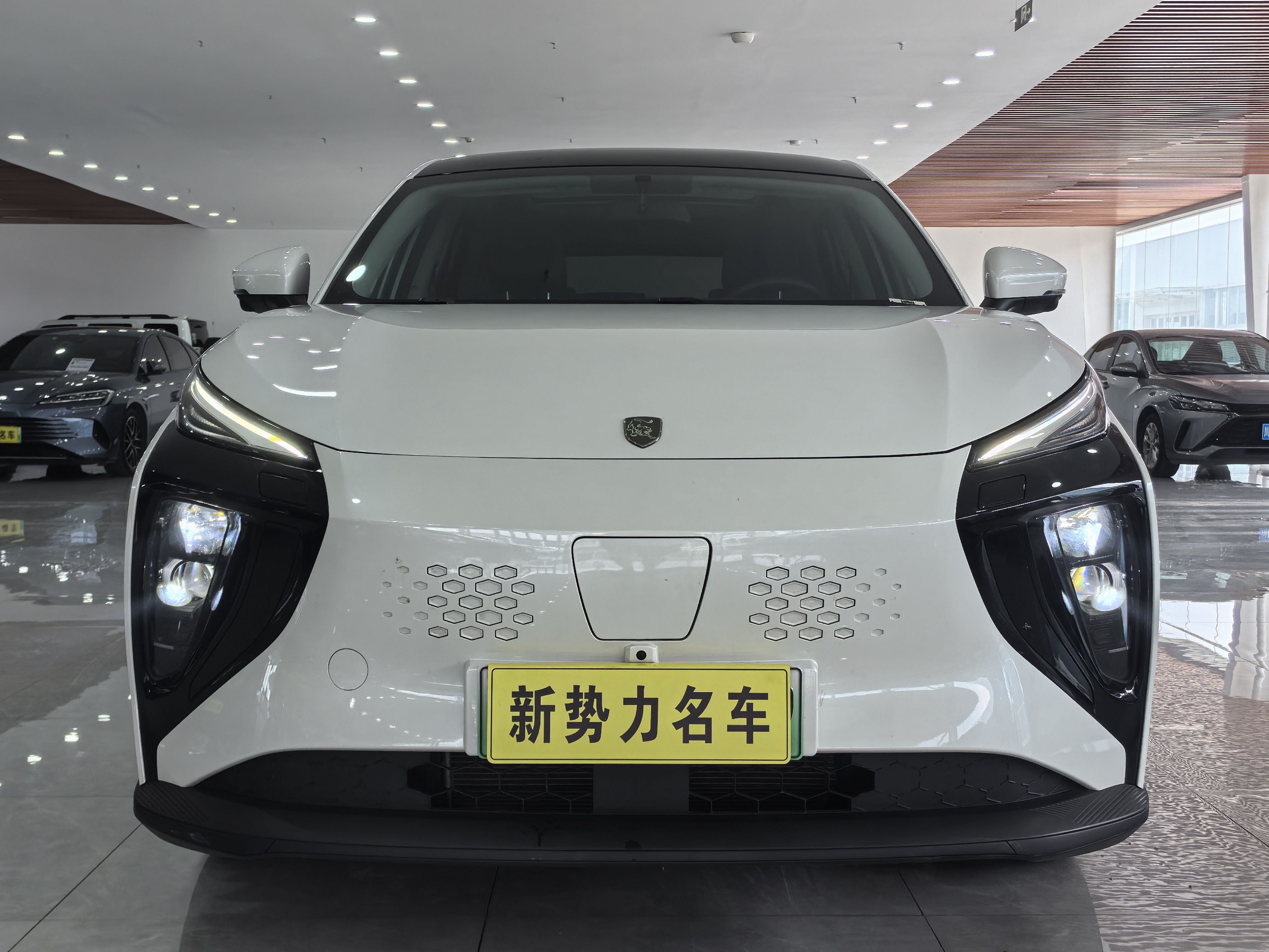 Forthing Thunder 2024 صورة سيارة #3