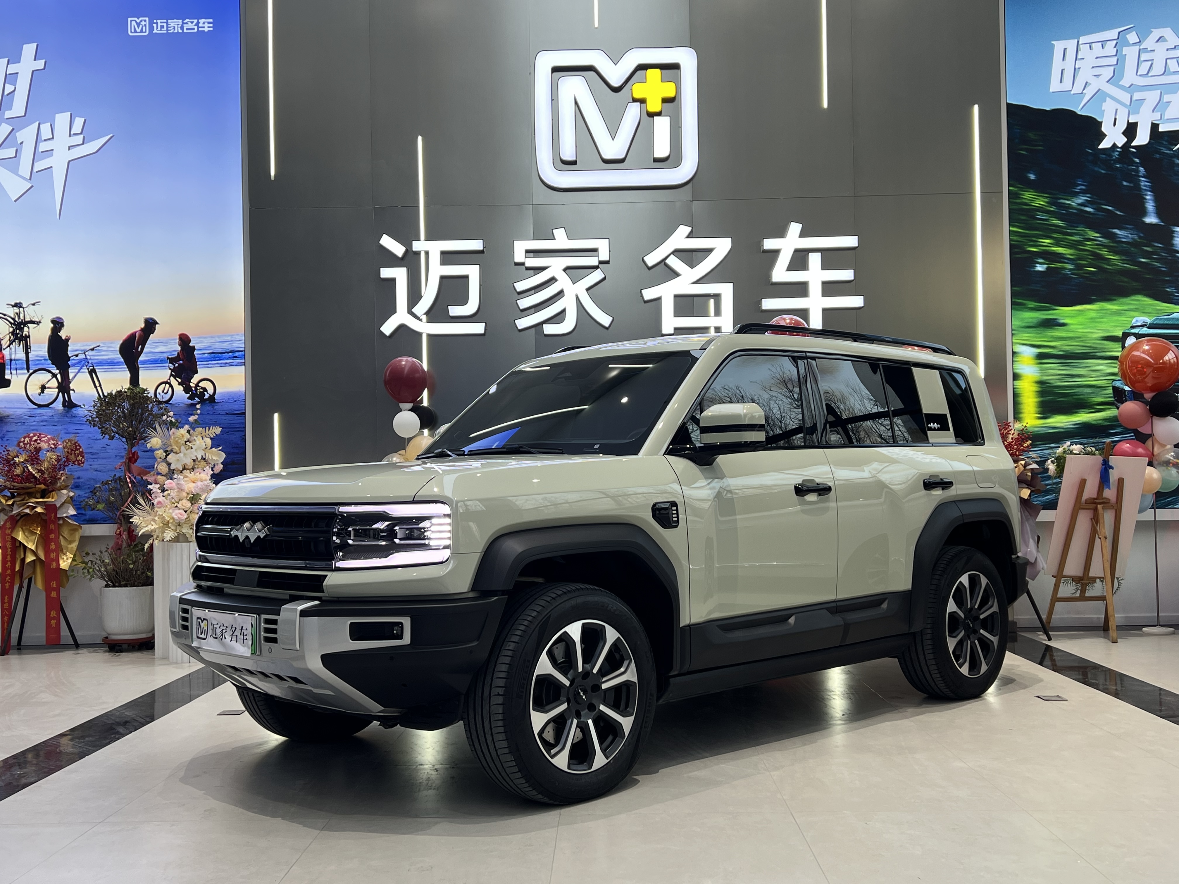 FangChengBao Leopard 5 2025 #3 FangChengBao Leopard 5 2025 car image #3