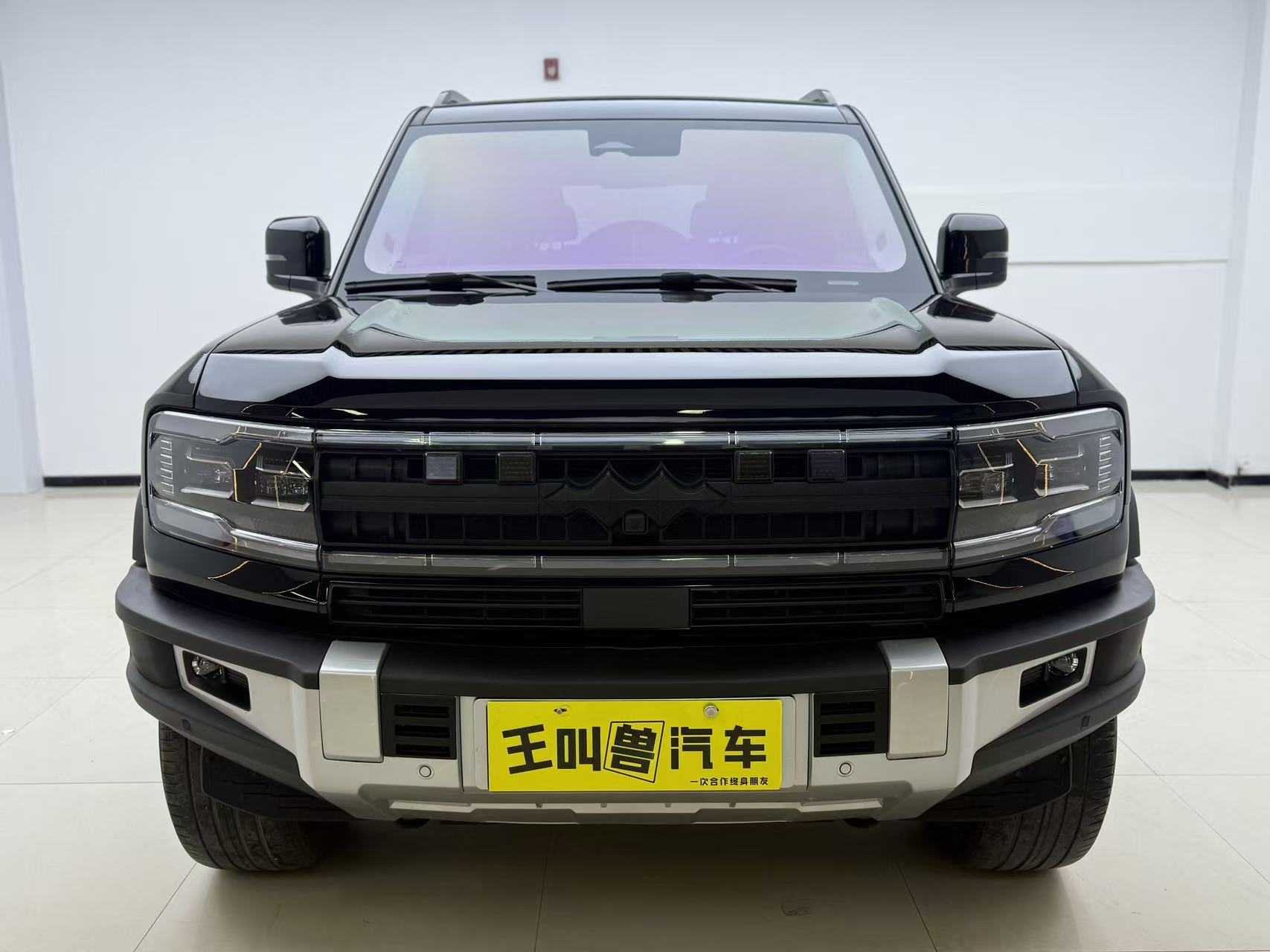 FangChengBao Leopard 5 2024 car image #3