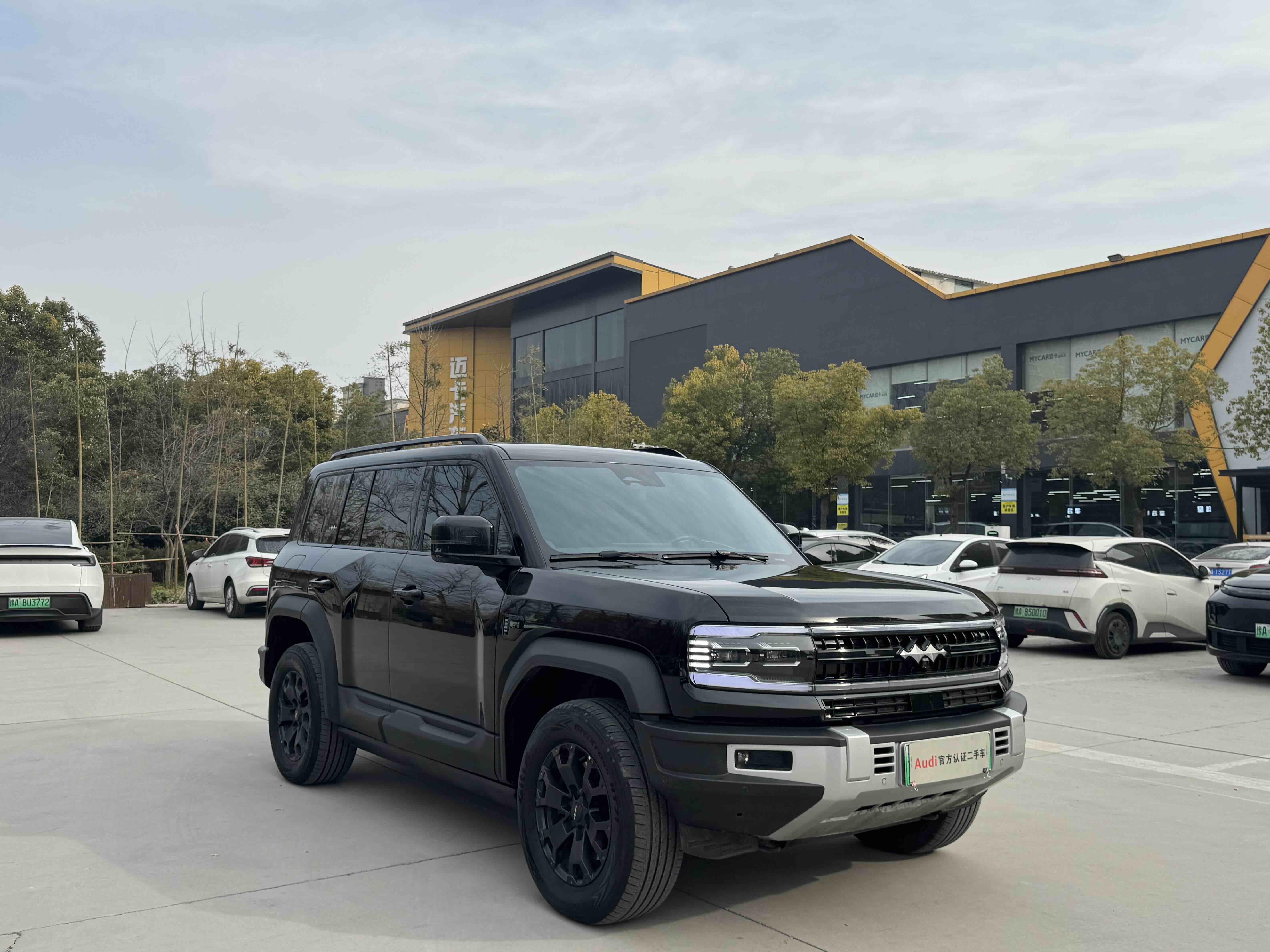 FangChengBao Leopard 5 2024 imagem de carro #3