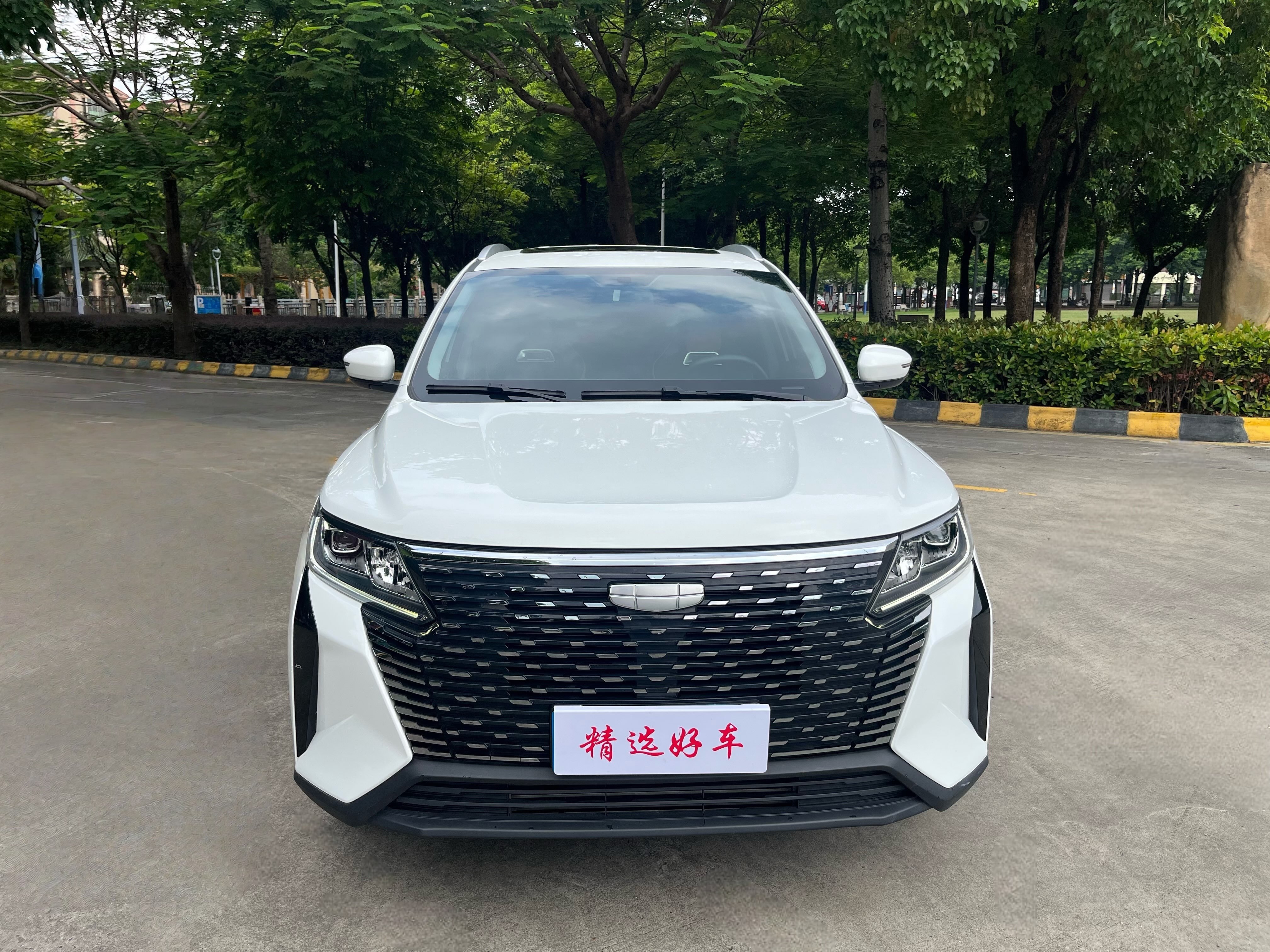 GEELY OkavangoPRO 2024 car image #3