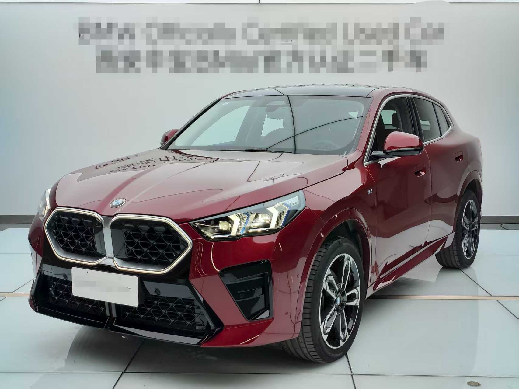 BMW X2 2024 imagen de coche #3