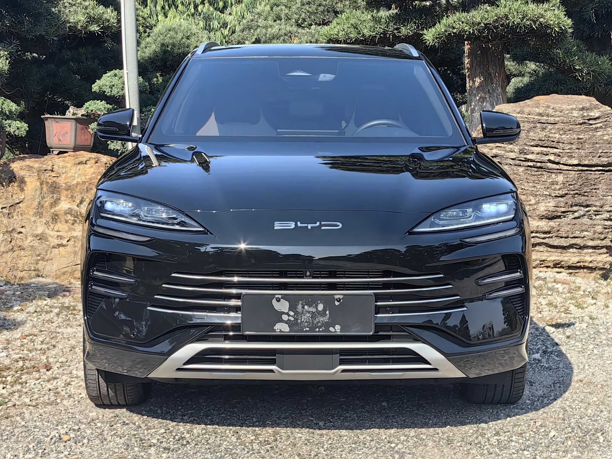 BYD Song Plus New Energy 2024 car image #3