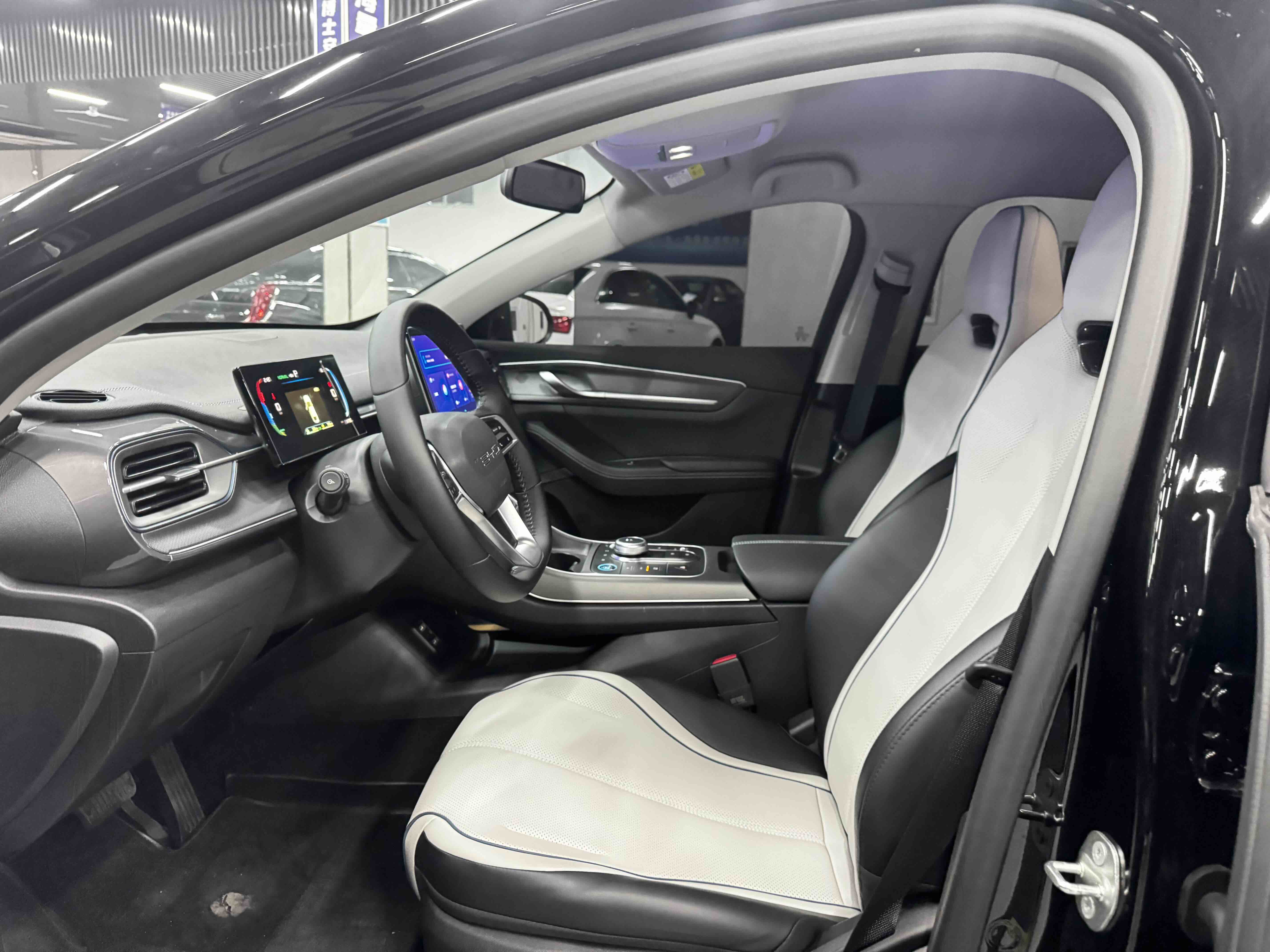 BYD Destroyer 05 2025 car image #3