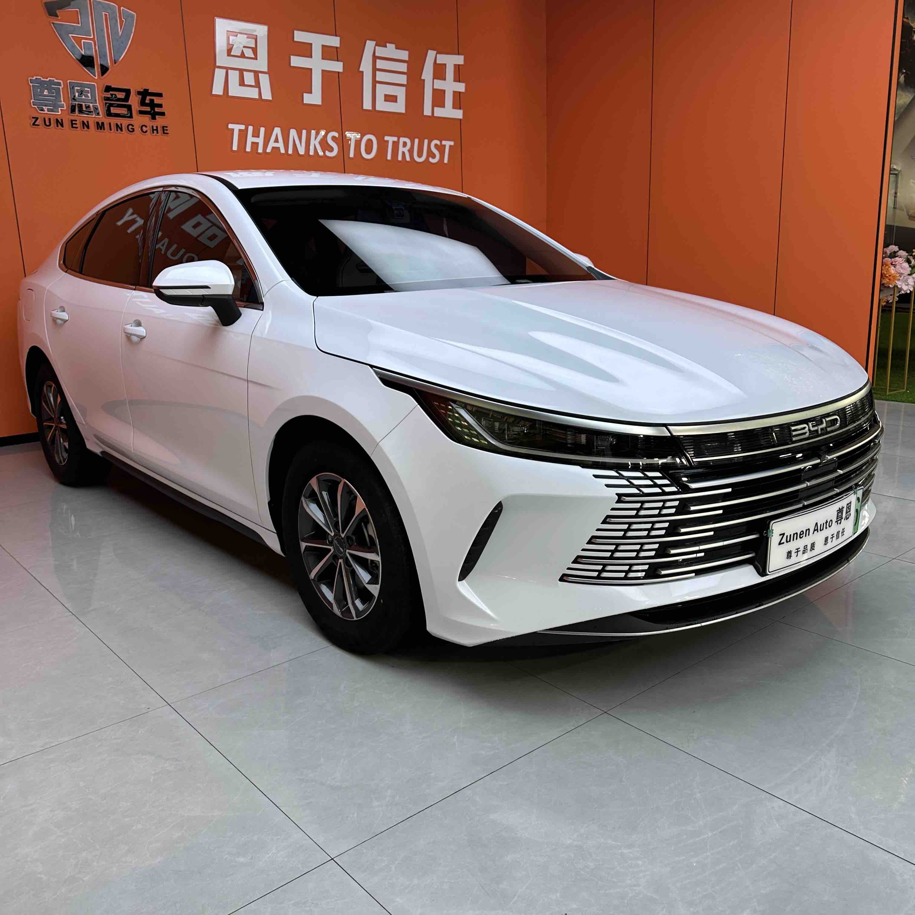 BYD Destroyer 05 2024 imagen de coche #3