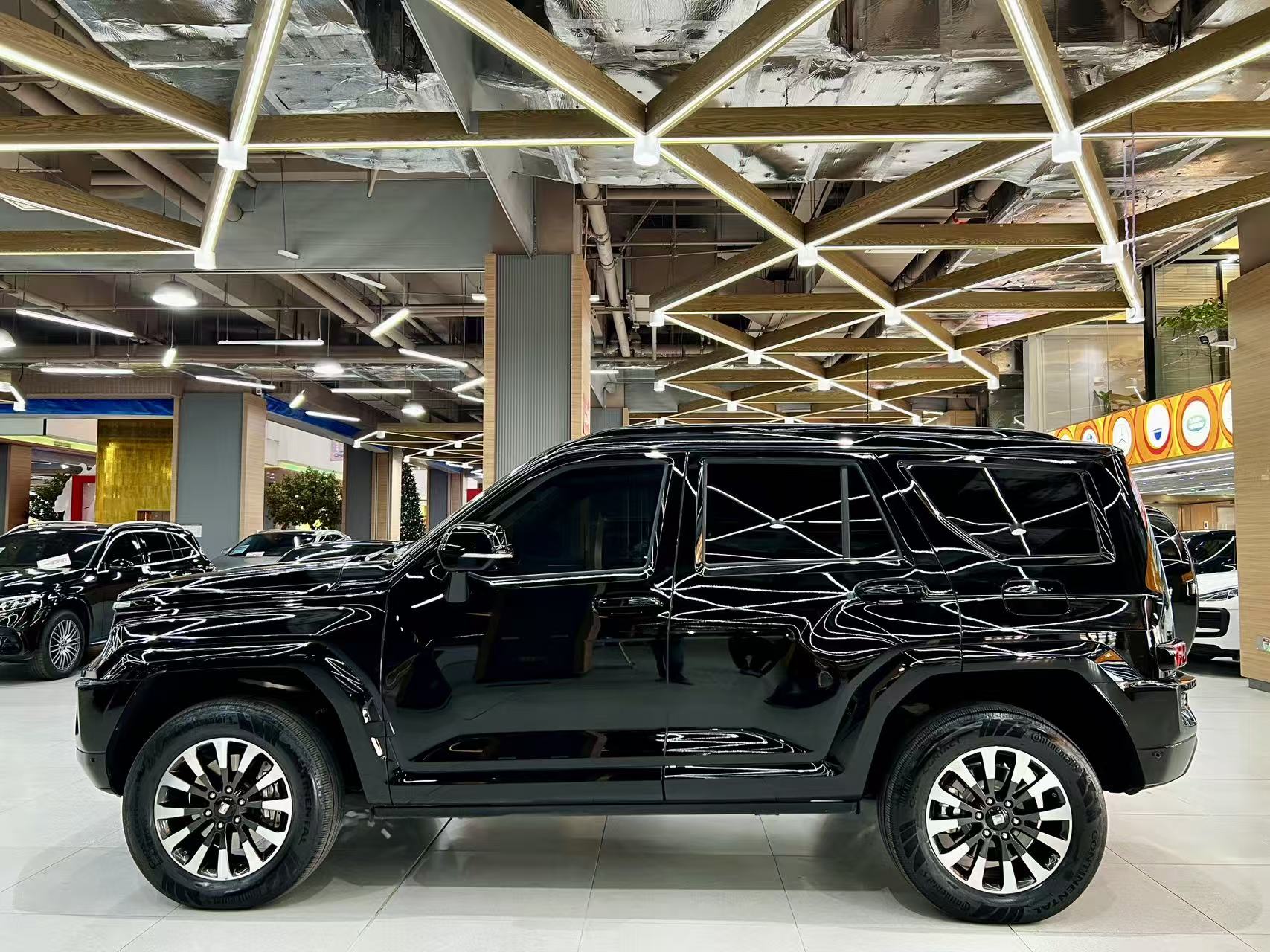 Tank 700 New Energy 2024 car image #3