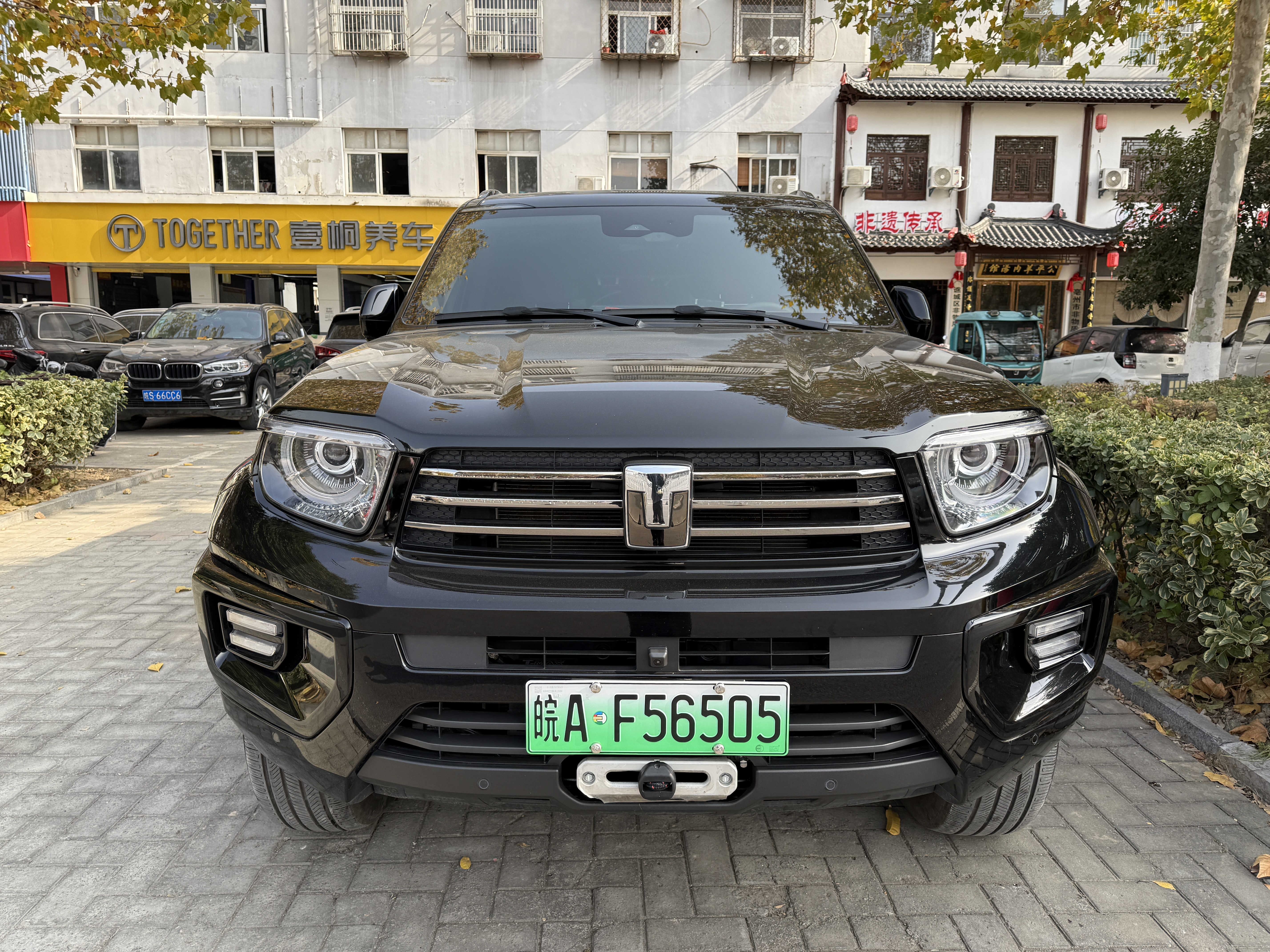 Tank 700 New Energy 2024 immagine di auto #3