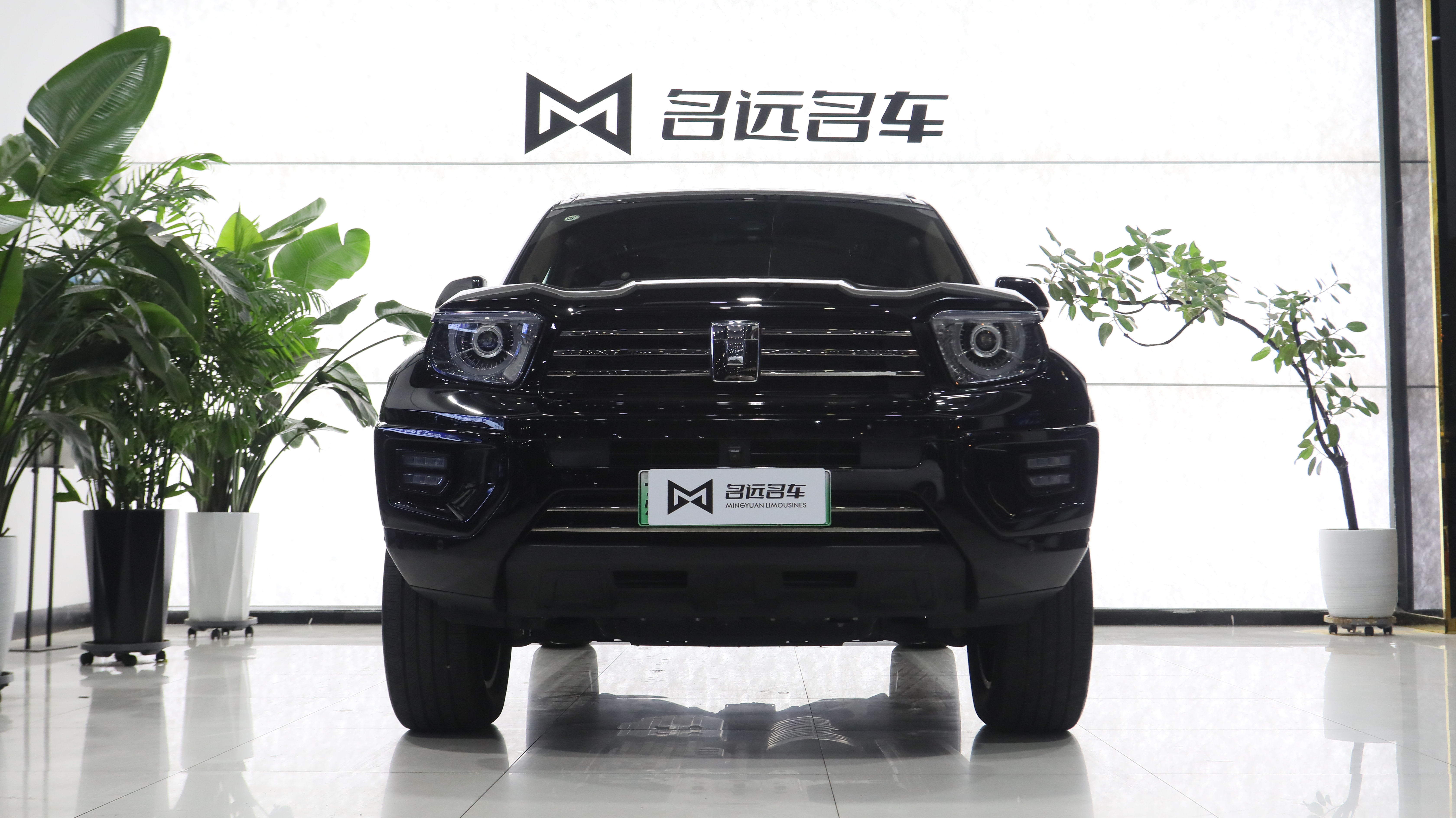 Tank 700 New Energy 2024 immagine di auto #3