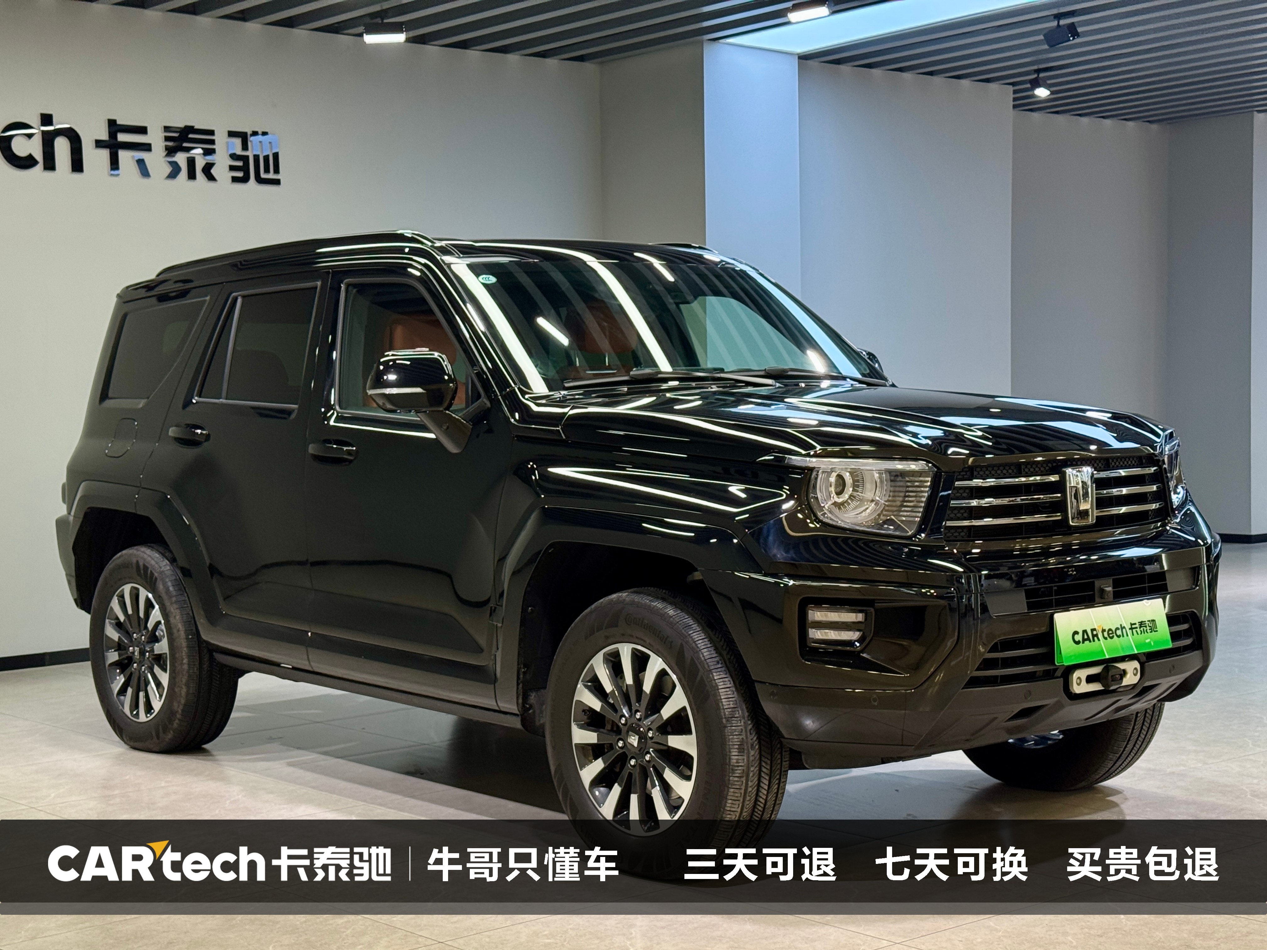 Tank 700 New Energy 2024 immagine di auto #3