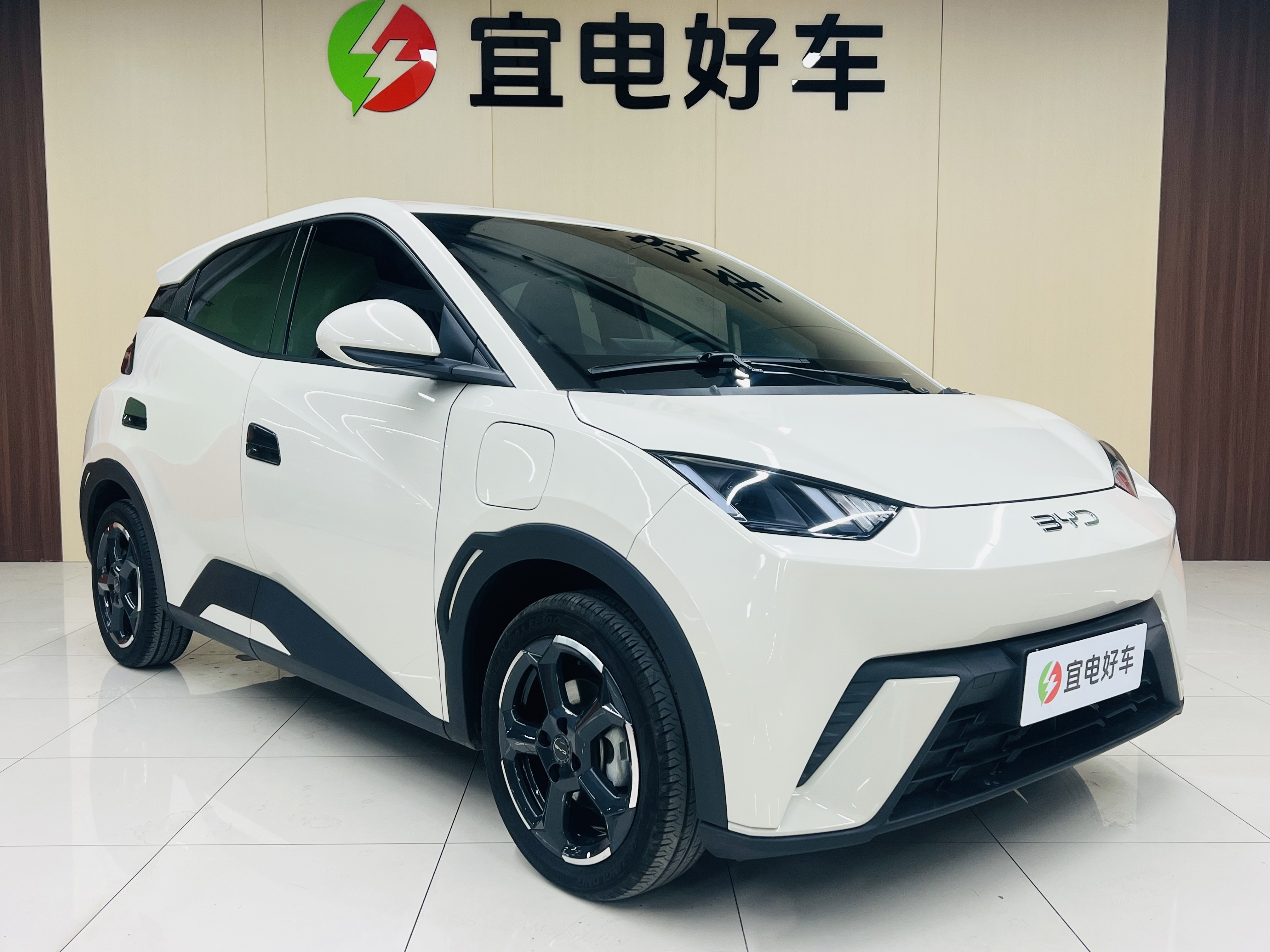 BYD Seagull 2024 car image #3