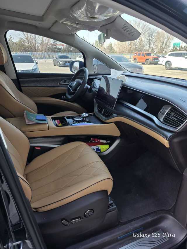 Denza D9 2025 car image #3