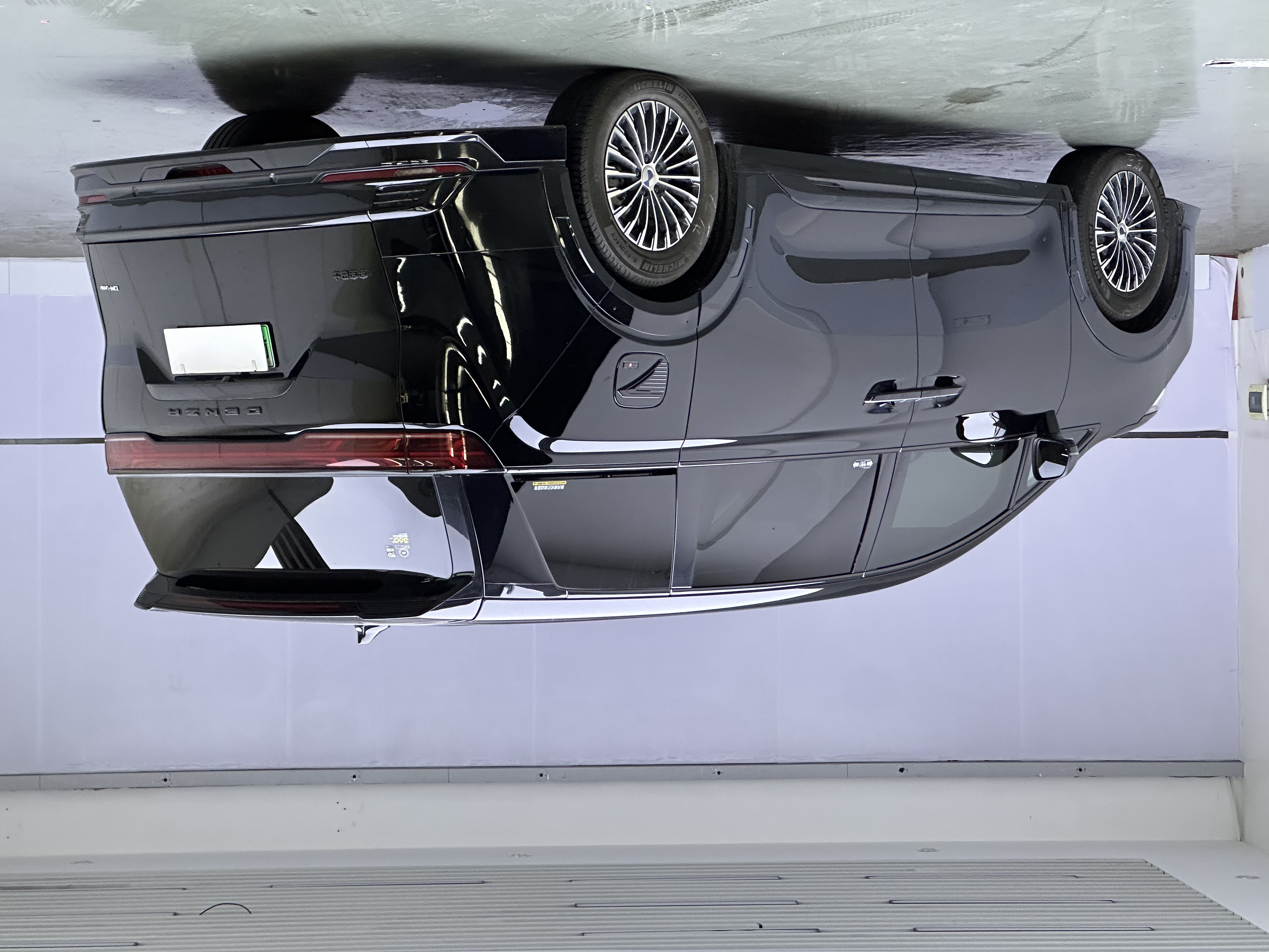 Denza D9 2024 imagem de carro #3