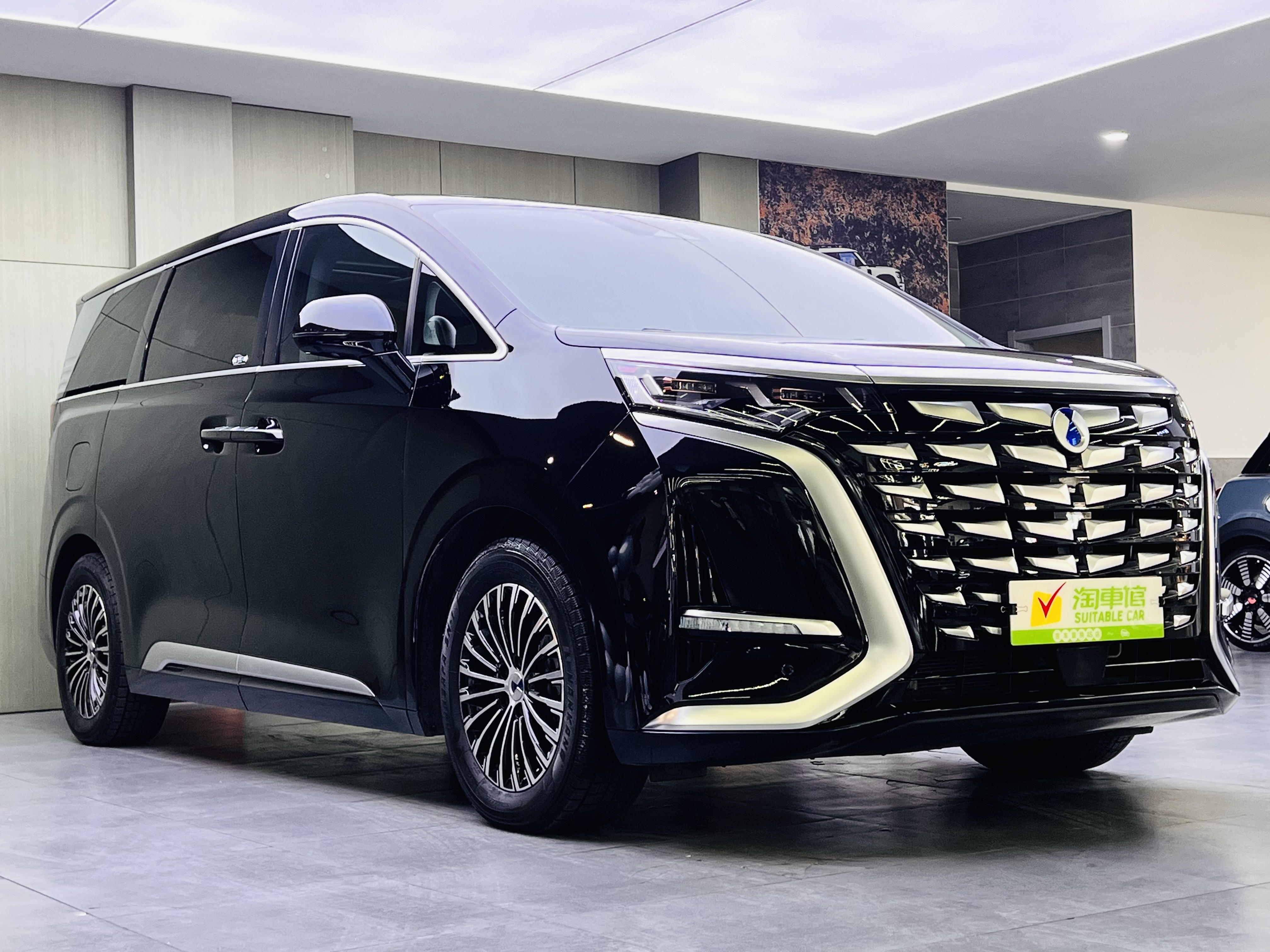 Denza D9 2025 image de voiture #3