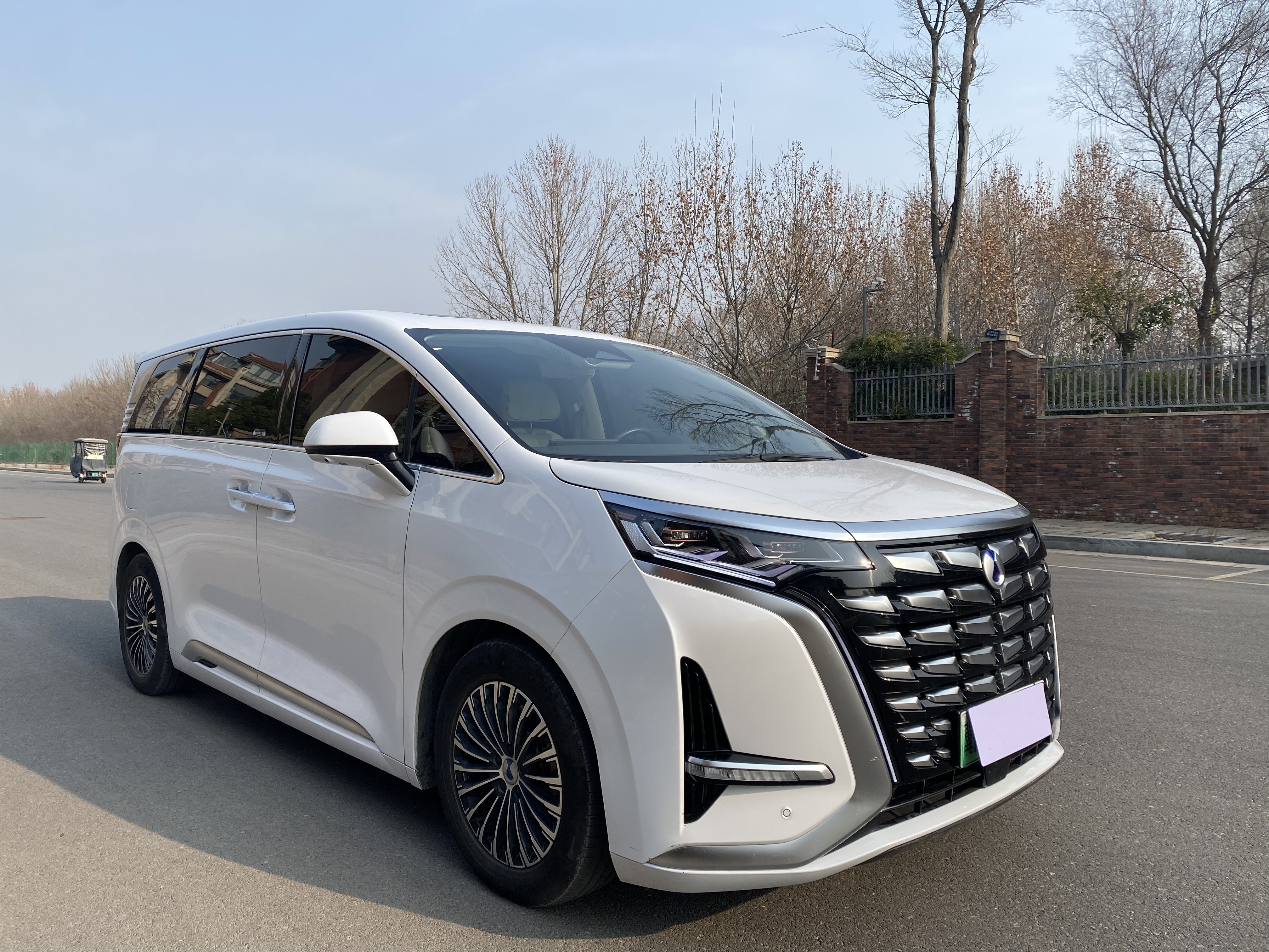 Denza D9 2024 imagem de carro #3