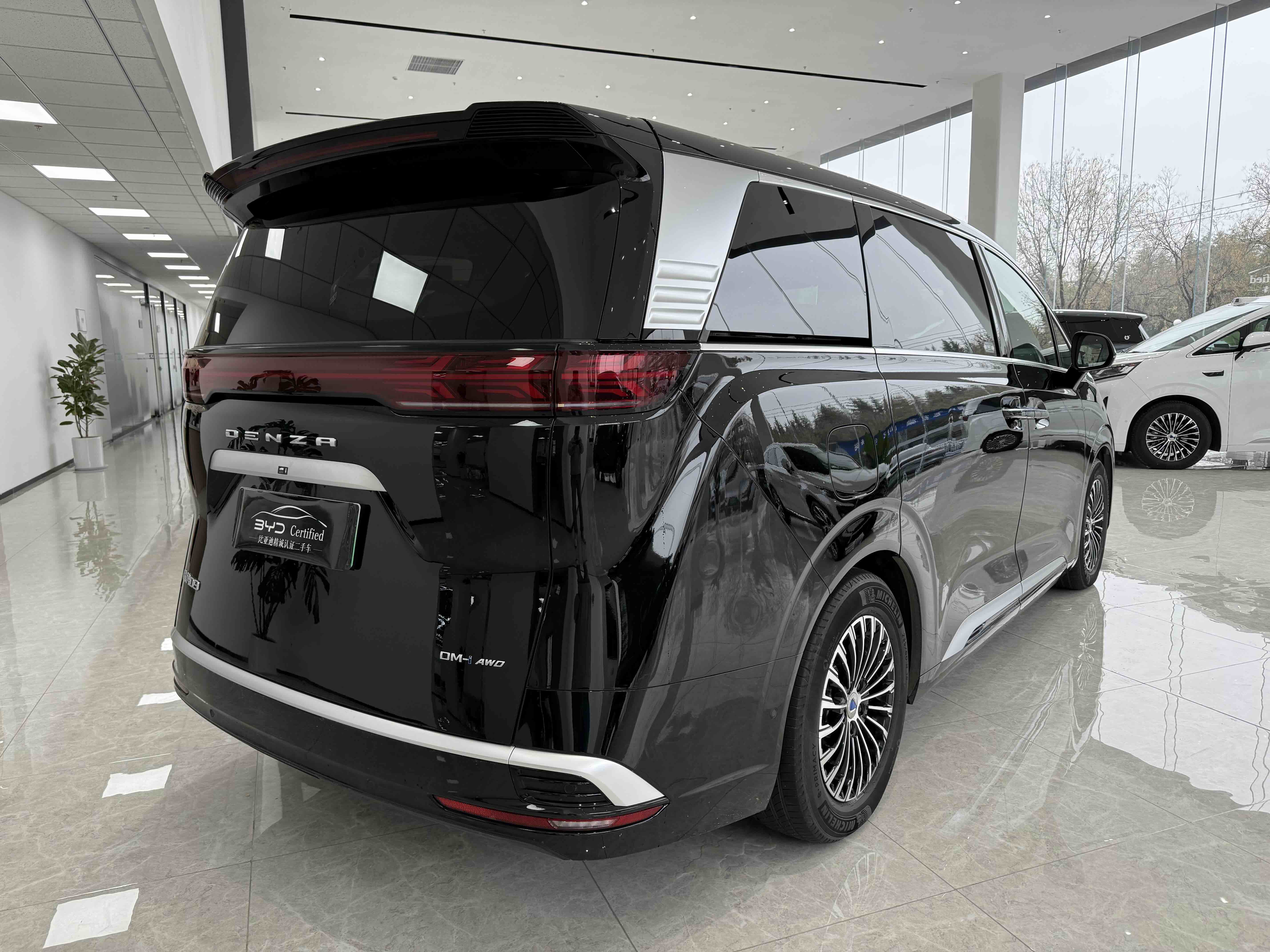 Denza D9 2024 car image #3