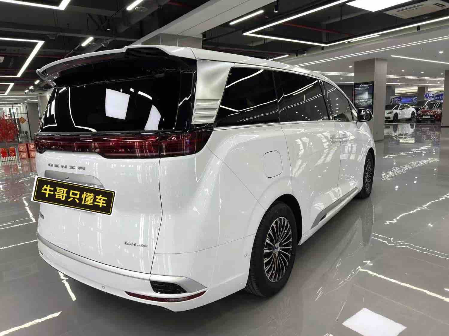 Denza D9 2024 imagen de coche #3