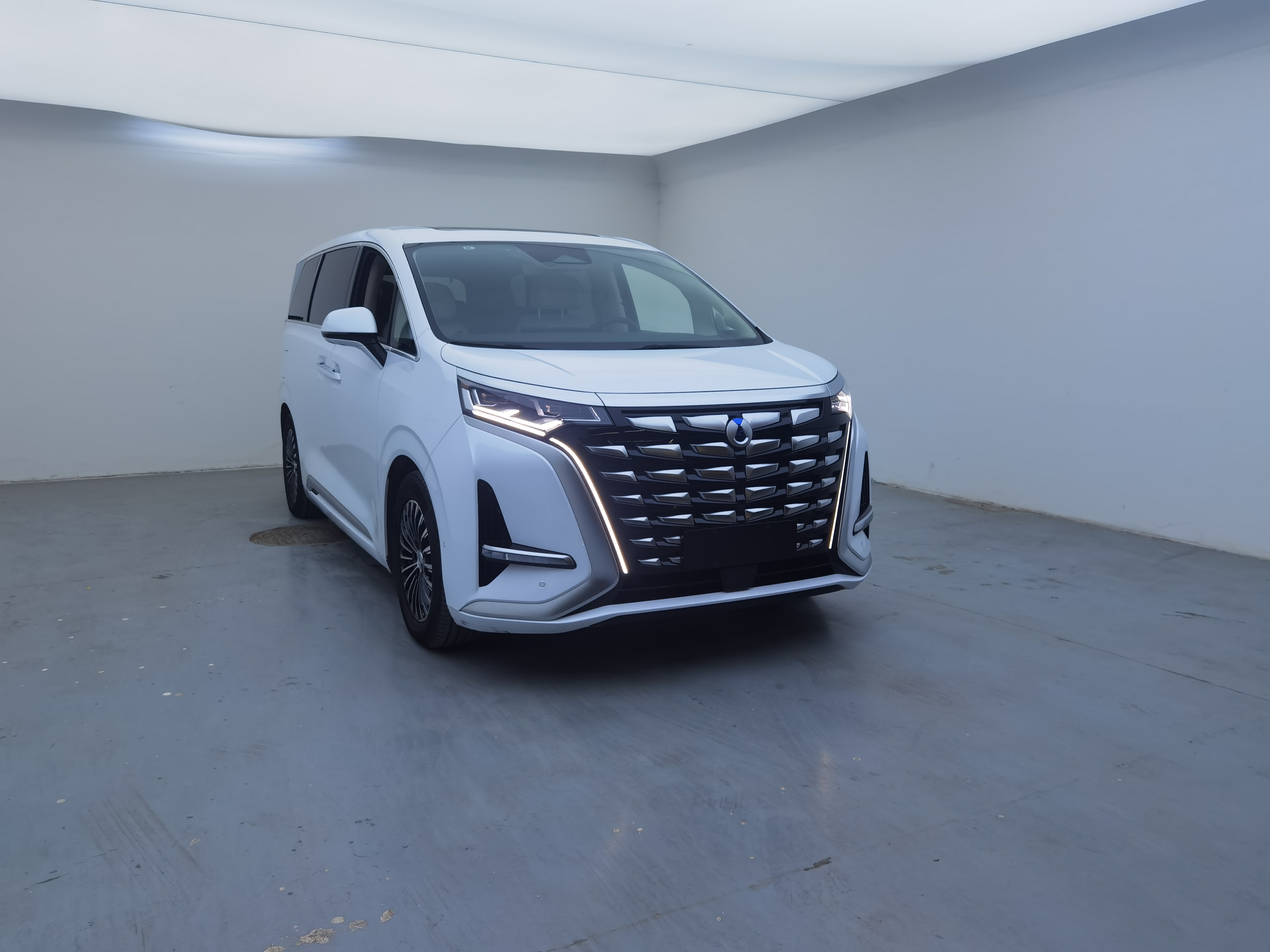 Denza D9 2024 immagine di auto #3