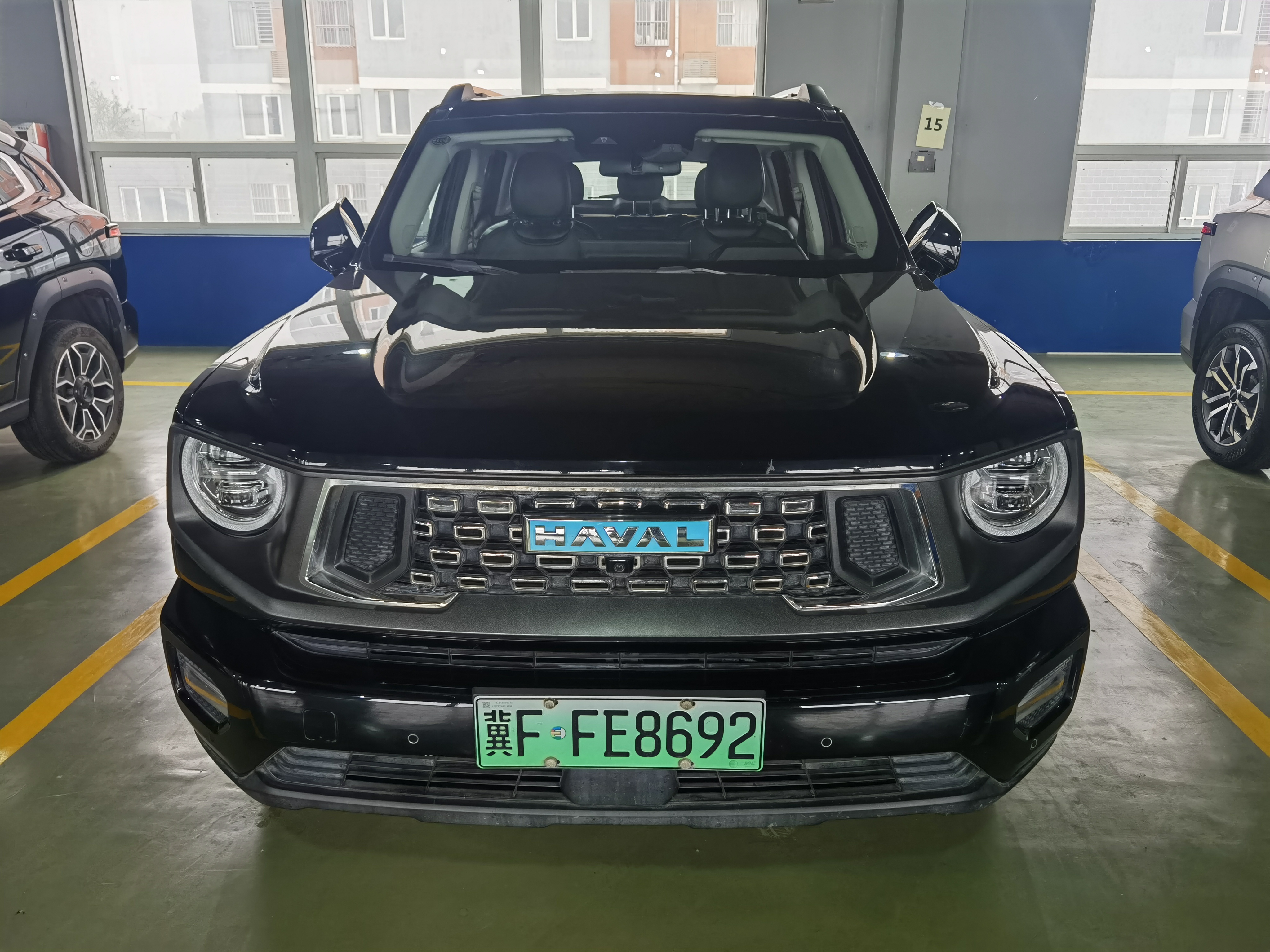 Haval X Dog 2 New Energy 2024 car image #3