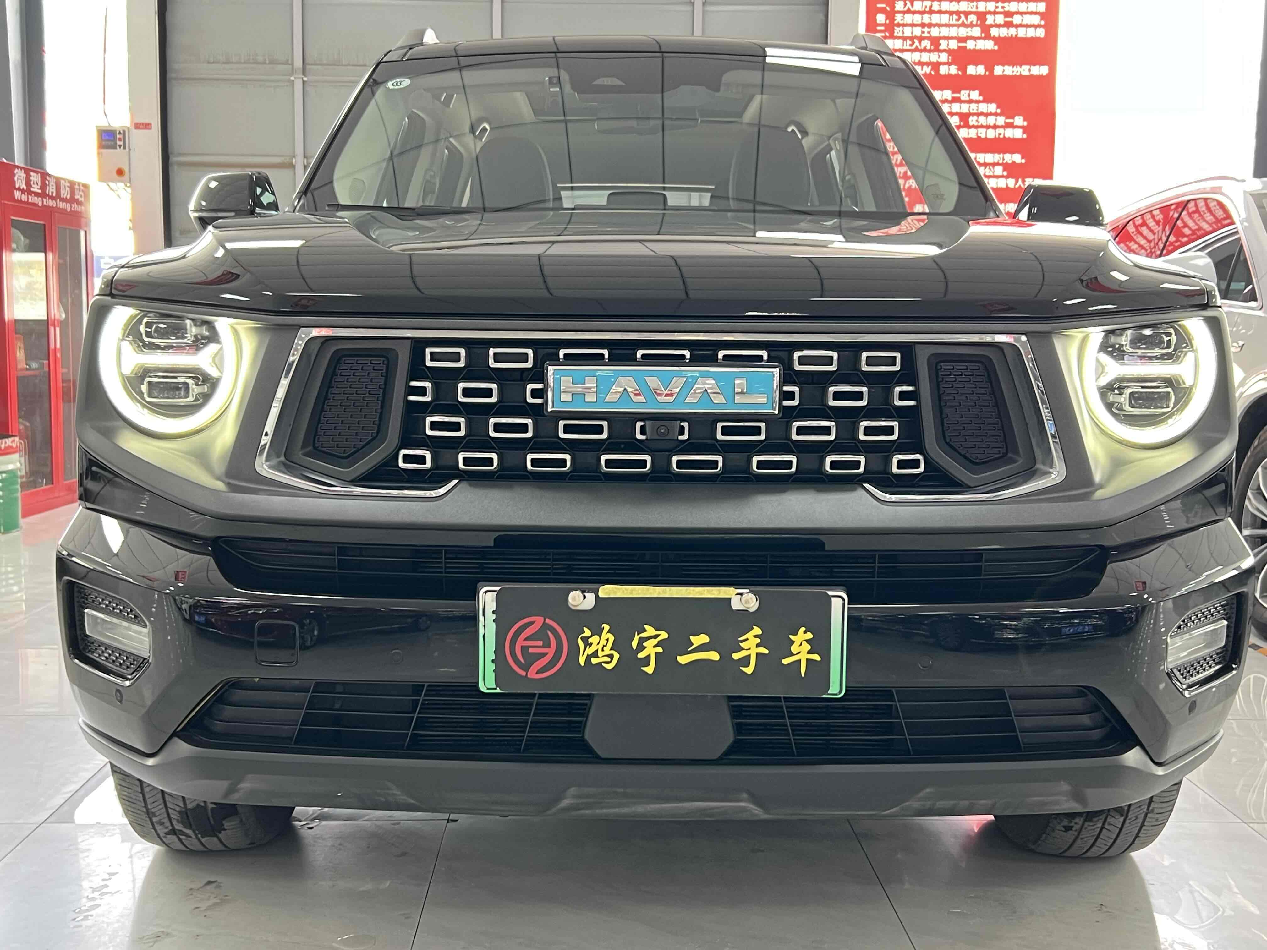 Haval X Dog 2 New Energy 2024 car image #3