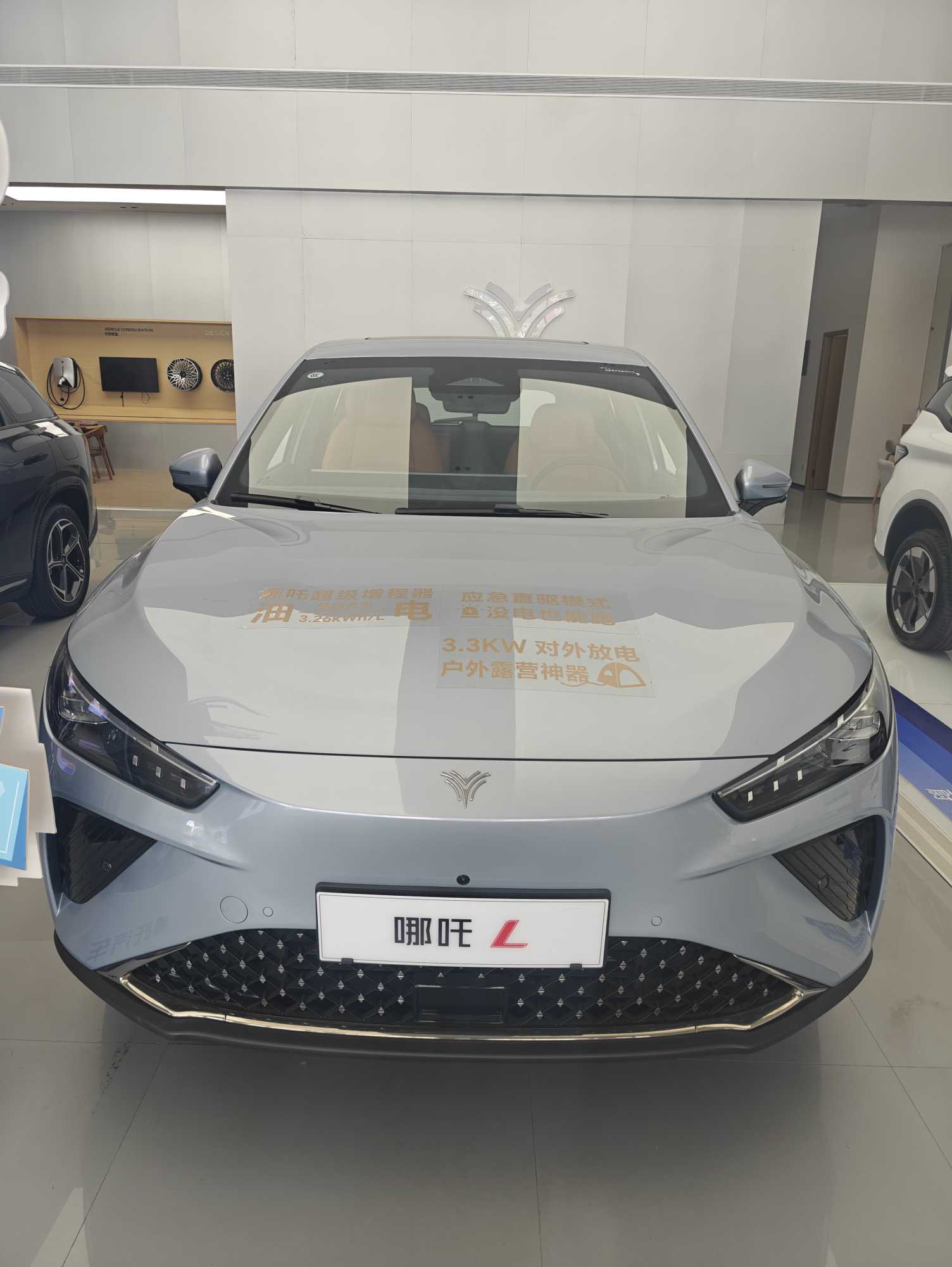 Neta L 2025 imagen de coche #3