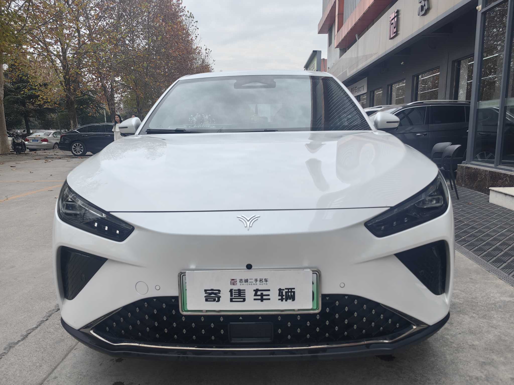 Neta L 2024 imagen de coche #3