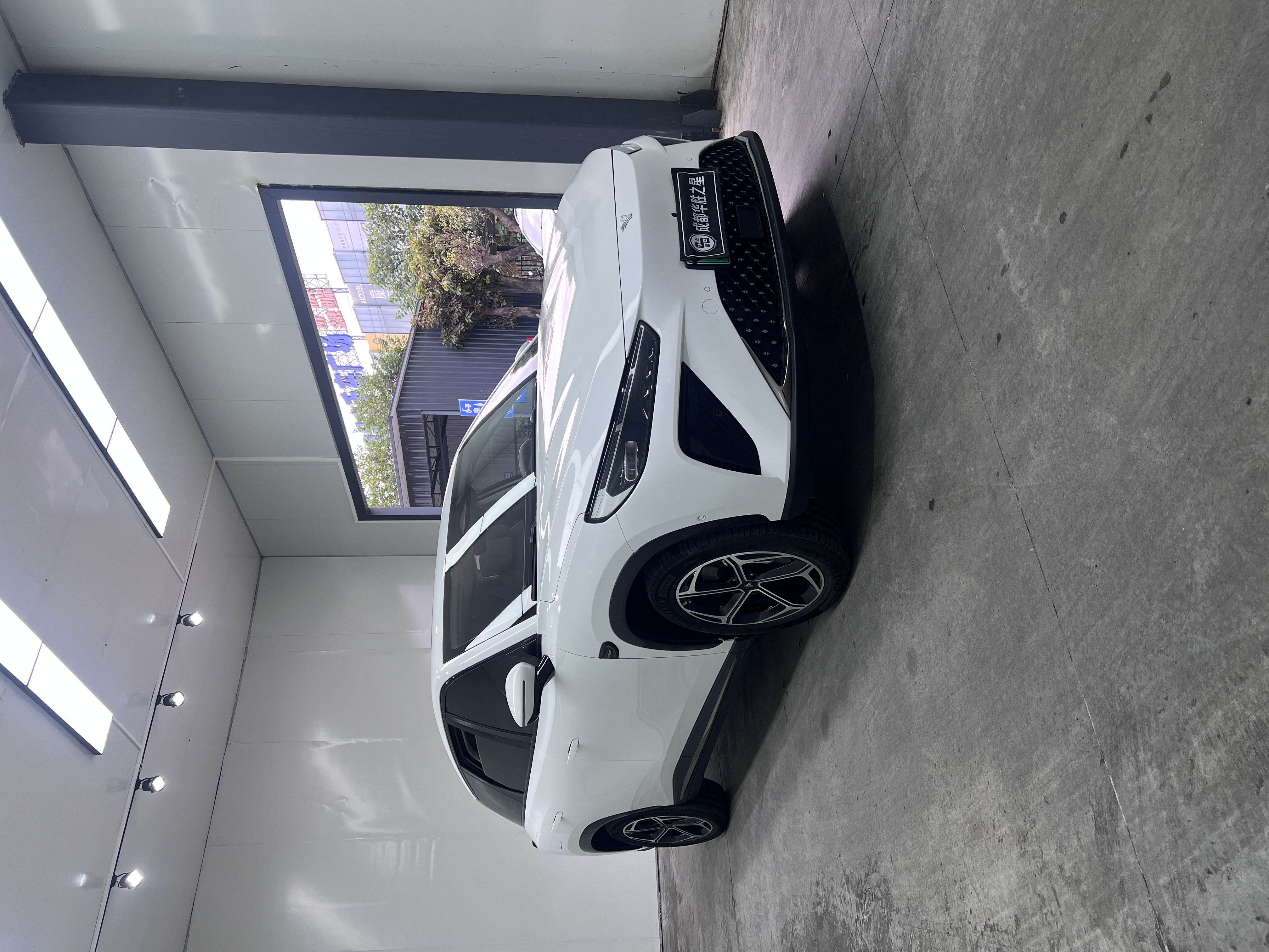 Neta L 2024 imagen de coche #3