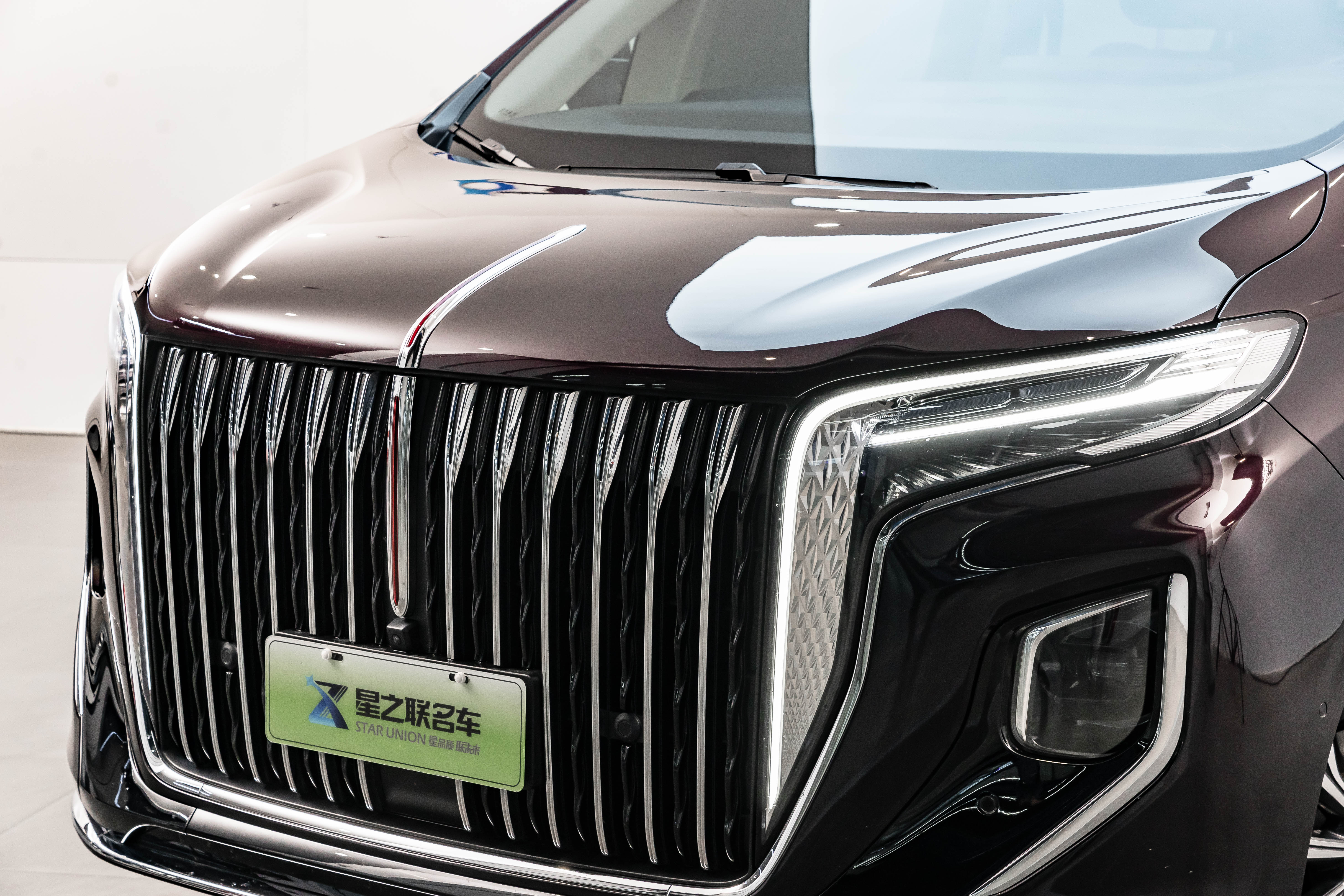 HongQi HQ9 PHEV 2025 #3 HongQi HQ9 PHEV 2025 car image #3