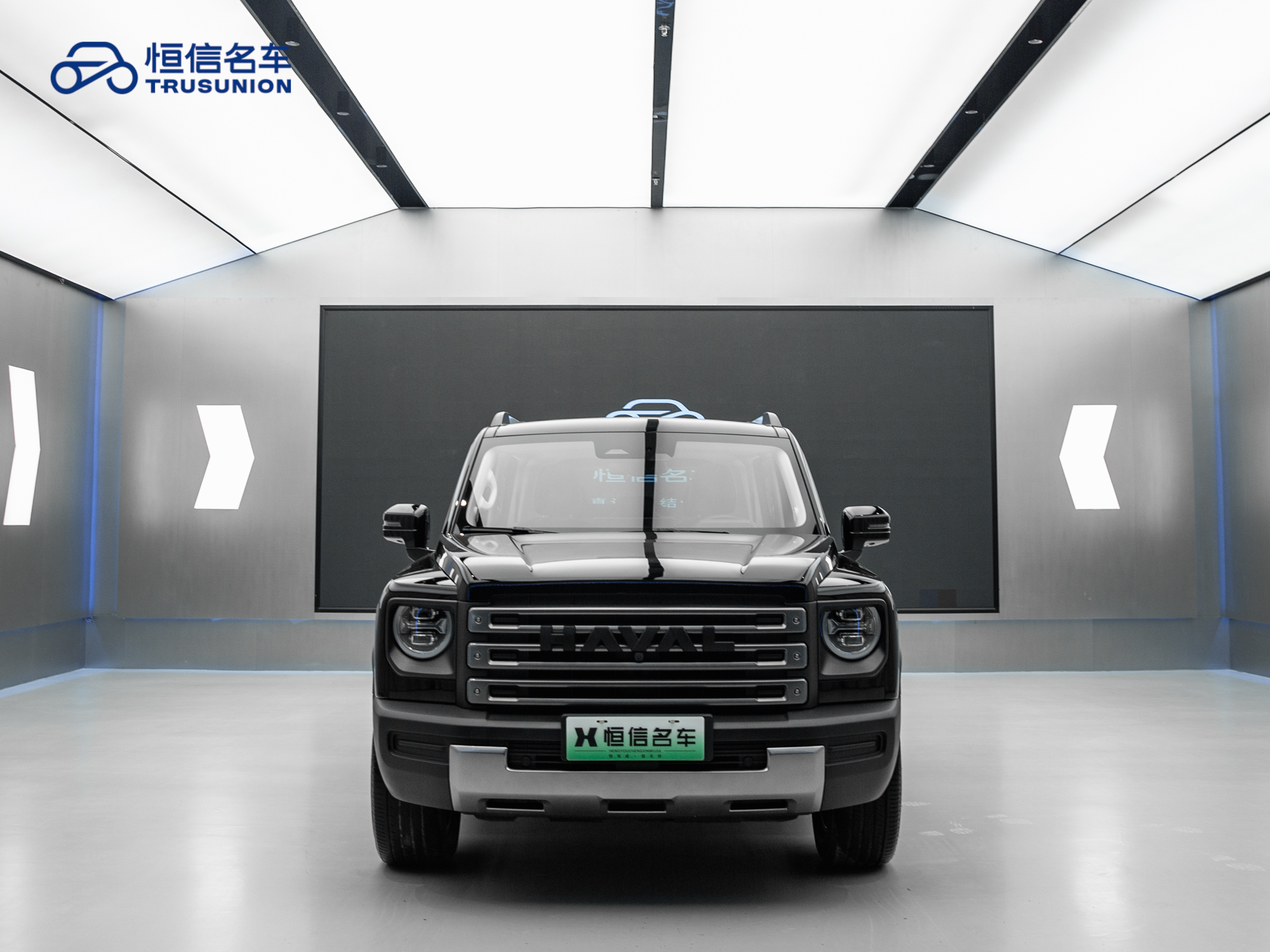 Haval Raptor 2024 immagine di auto #3