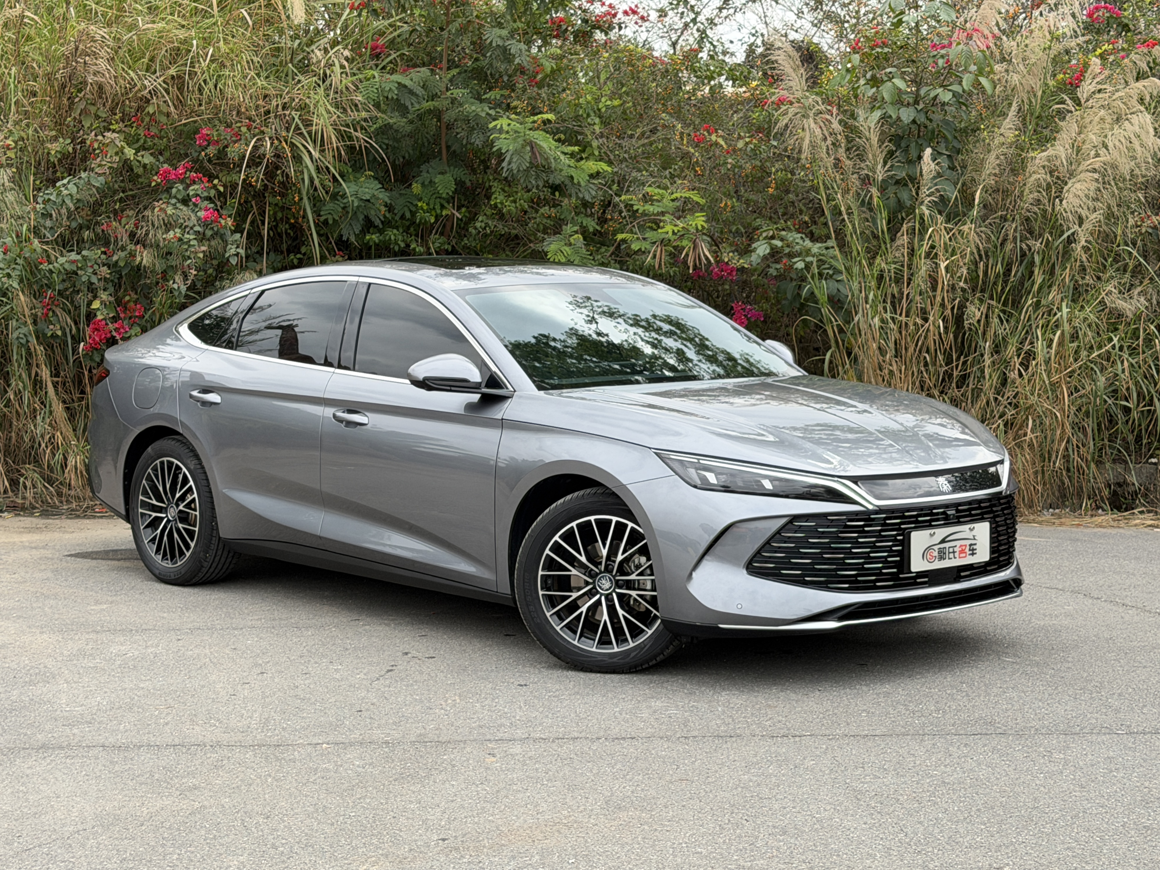 BYD Qin L 2024 car image #3