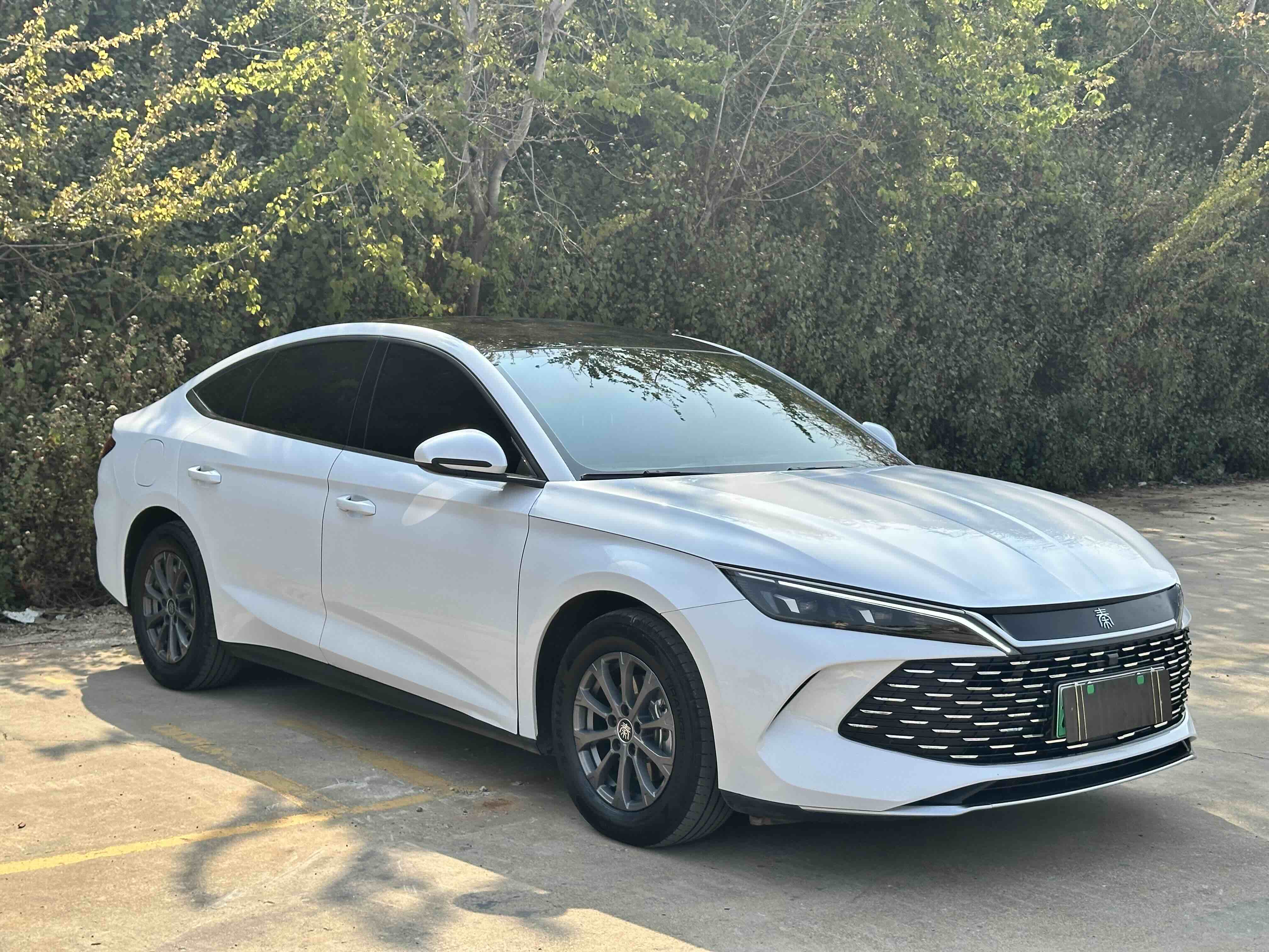 BYD Qin L 2025 car image #3