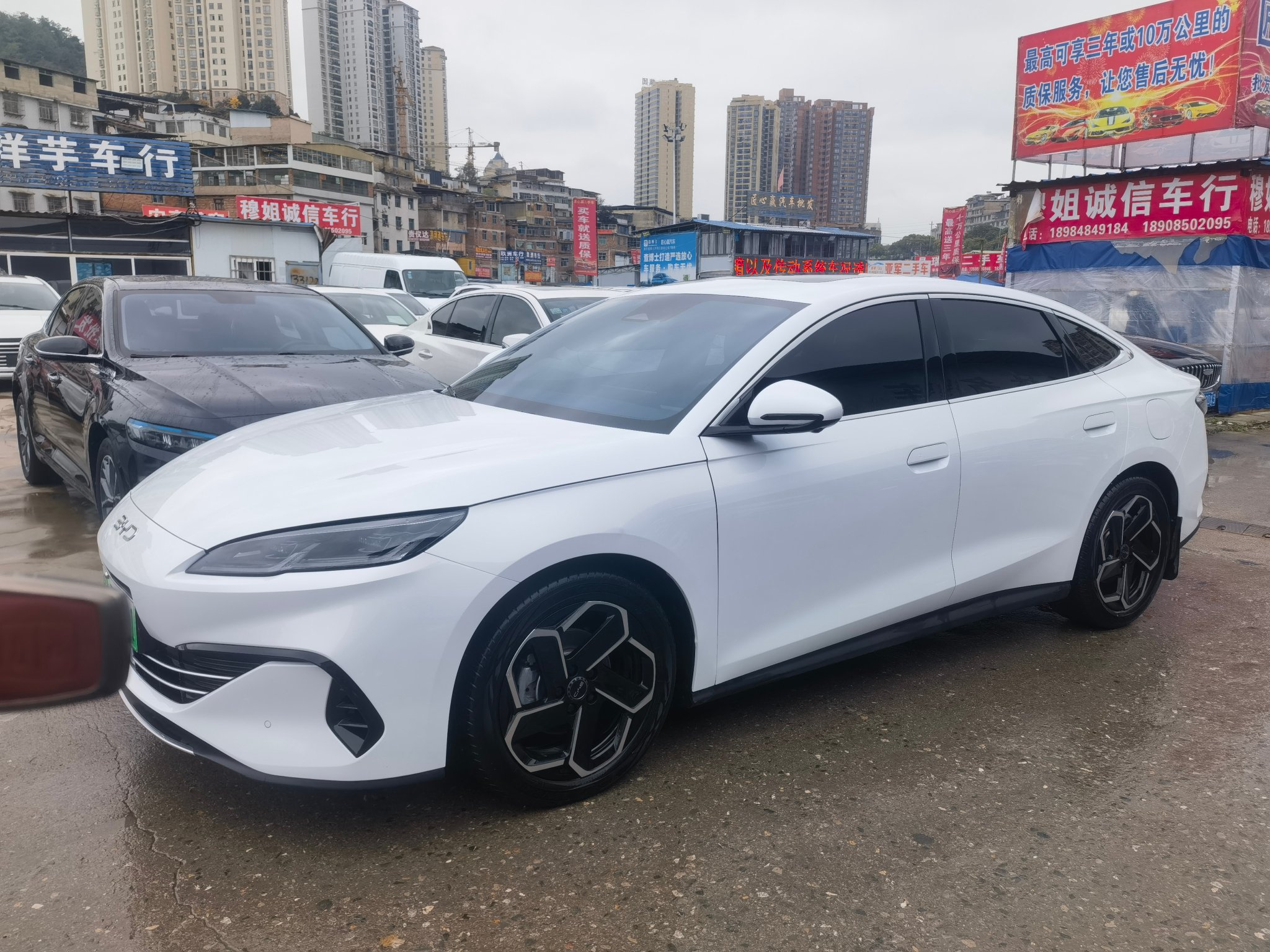 BYD Seal 06 DM-i 2024 #3 BYD Seal 06 DM-i 2024 immagine di auto #3