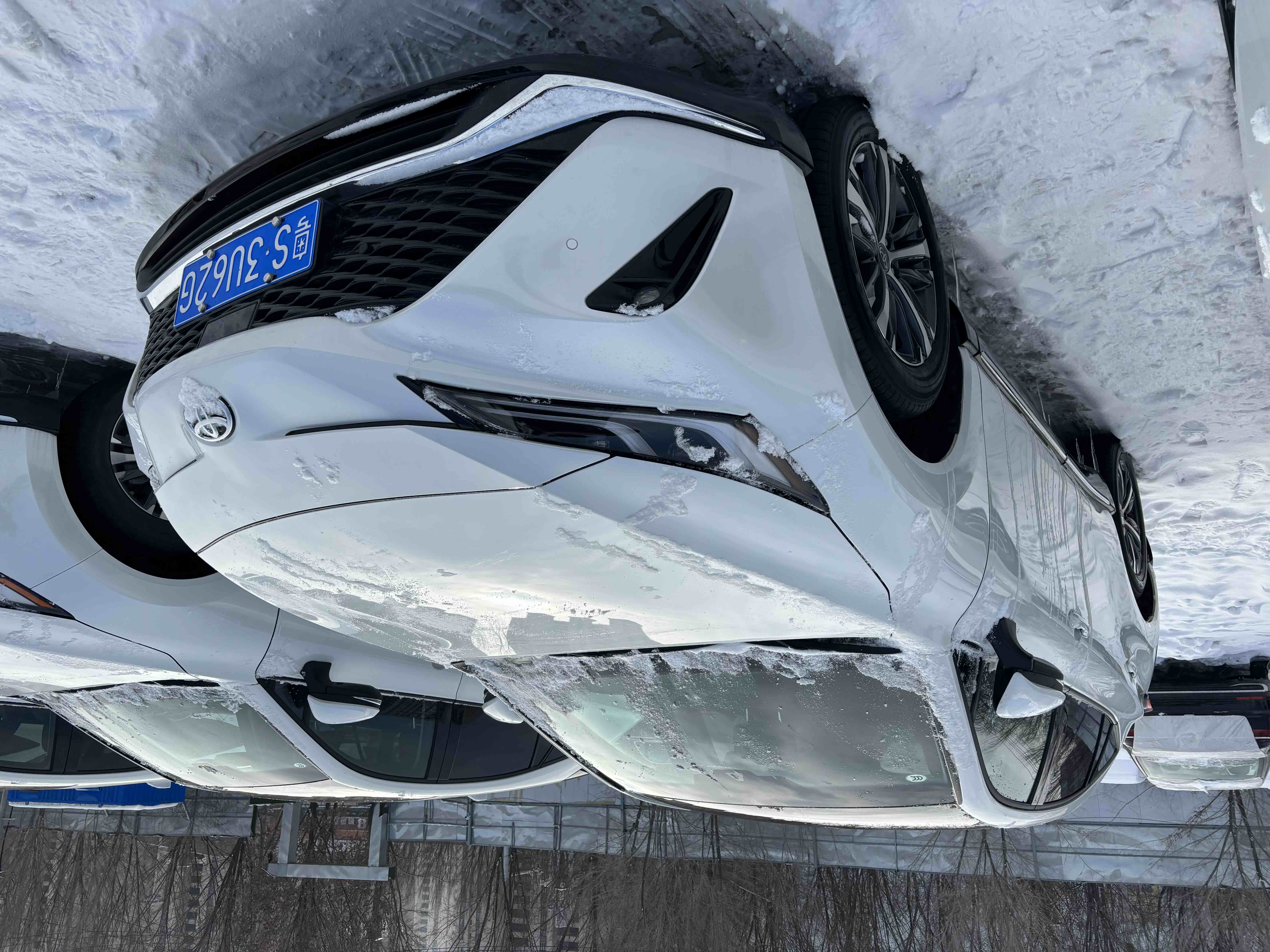 Toyota Venza 2025 car image #3