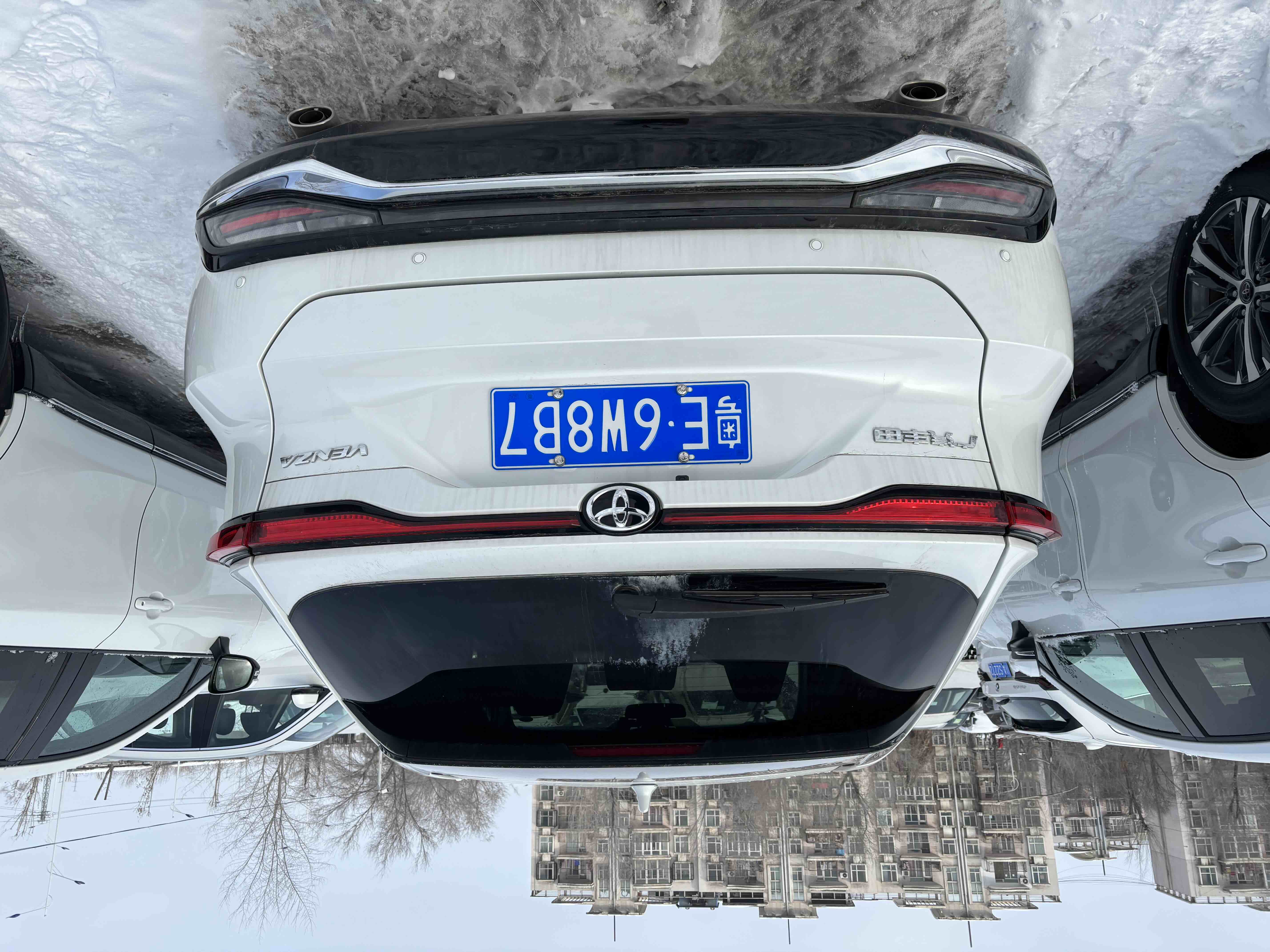 Toyota Venza 2025 immagine di auto #3