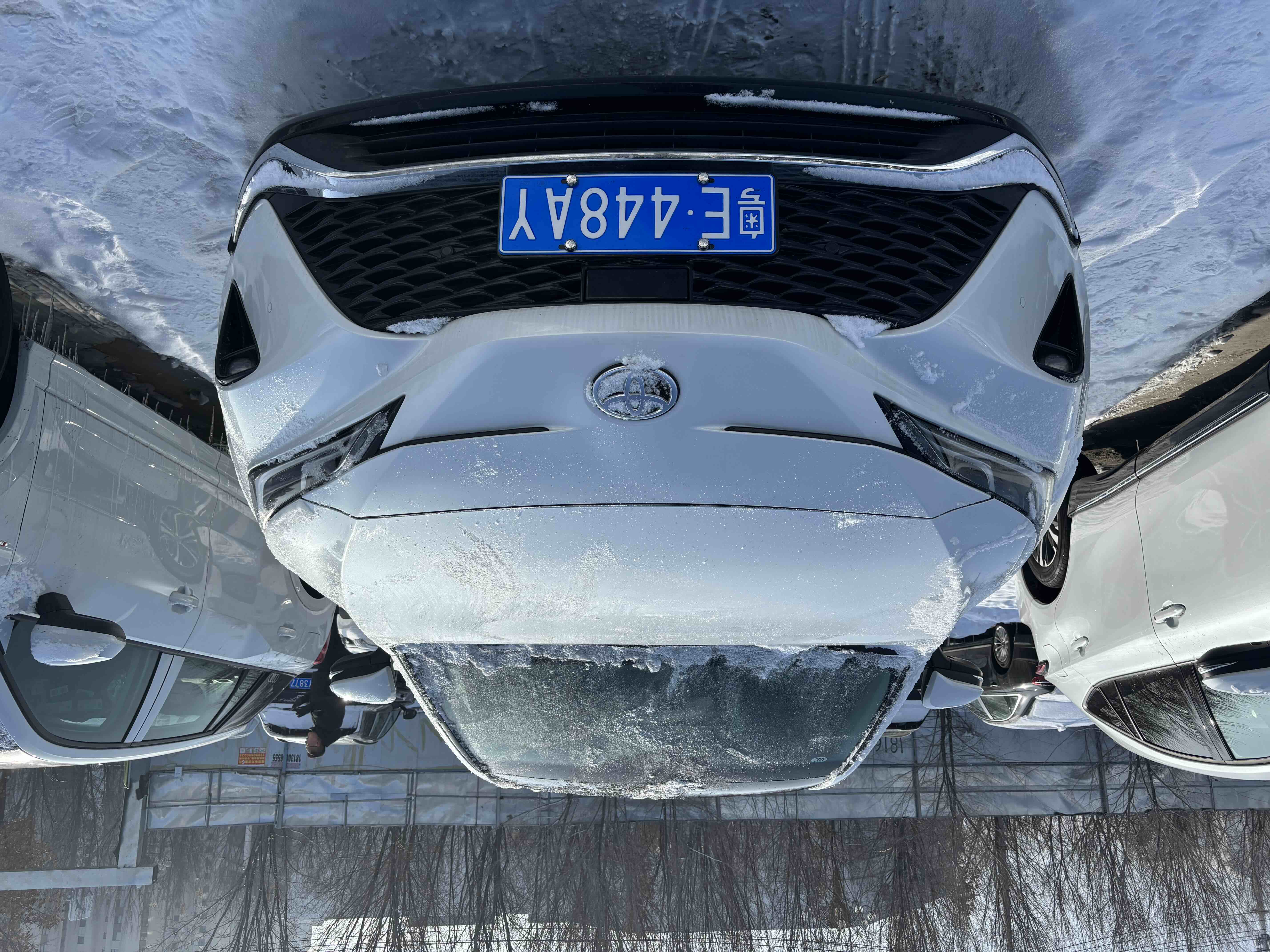 Toyota Venza 2025 immagine di auto #3