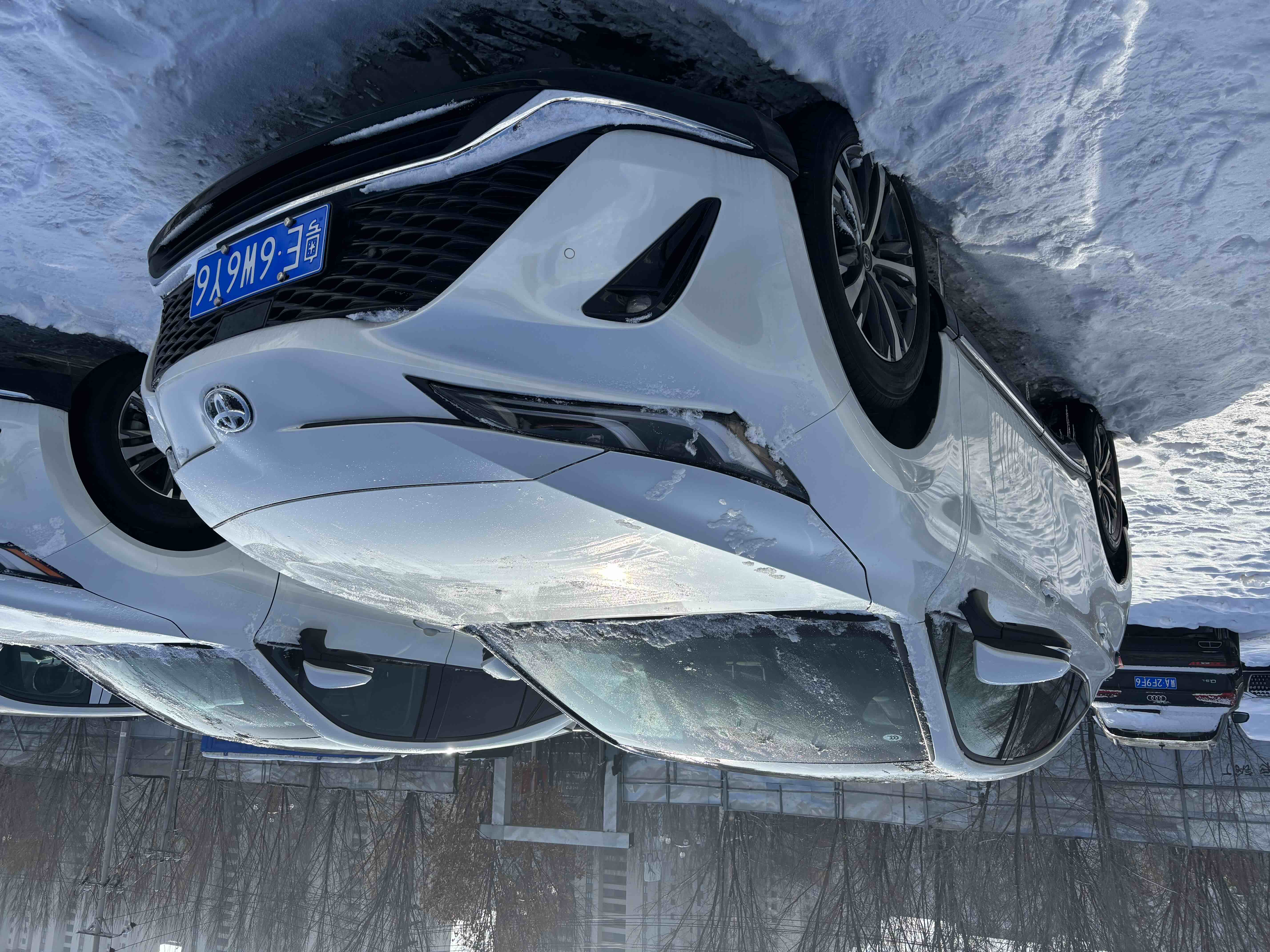 Toyota Venza 2025 immagine di auto #3