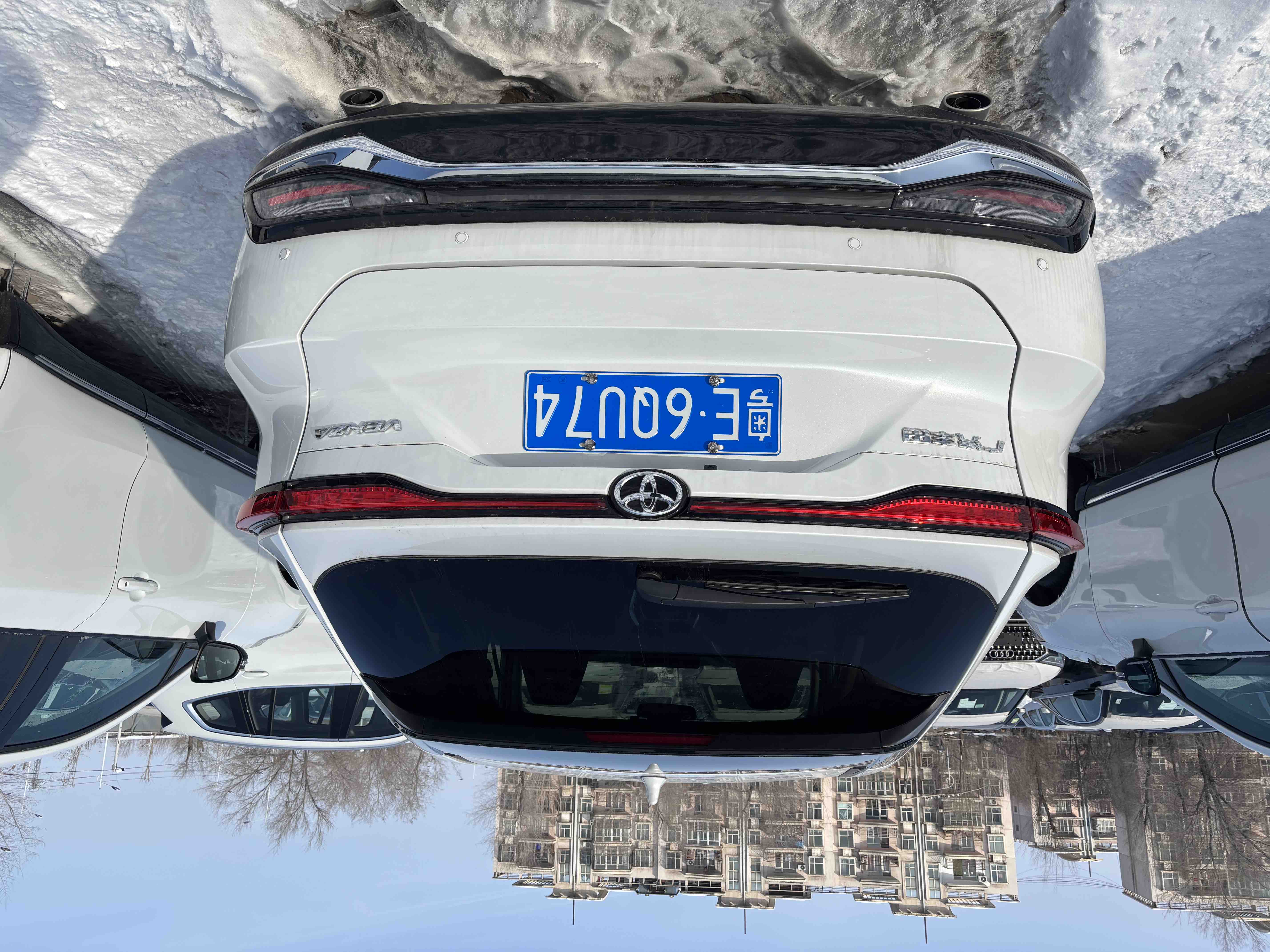 Toyota Venza 2025 immagine di auto #3