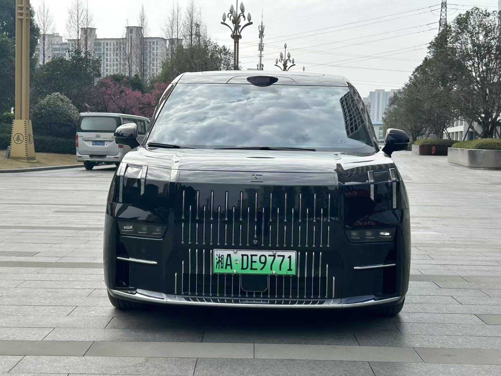 极氪 极氪009 2025 汽车图片 #3