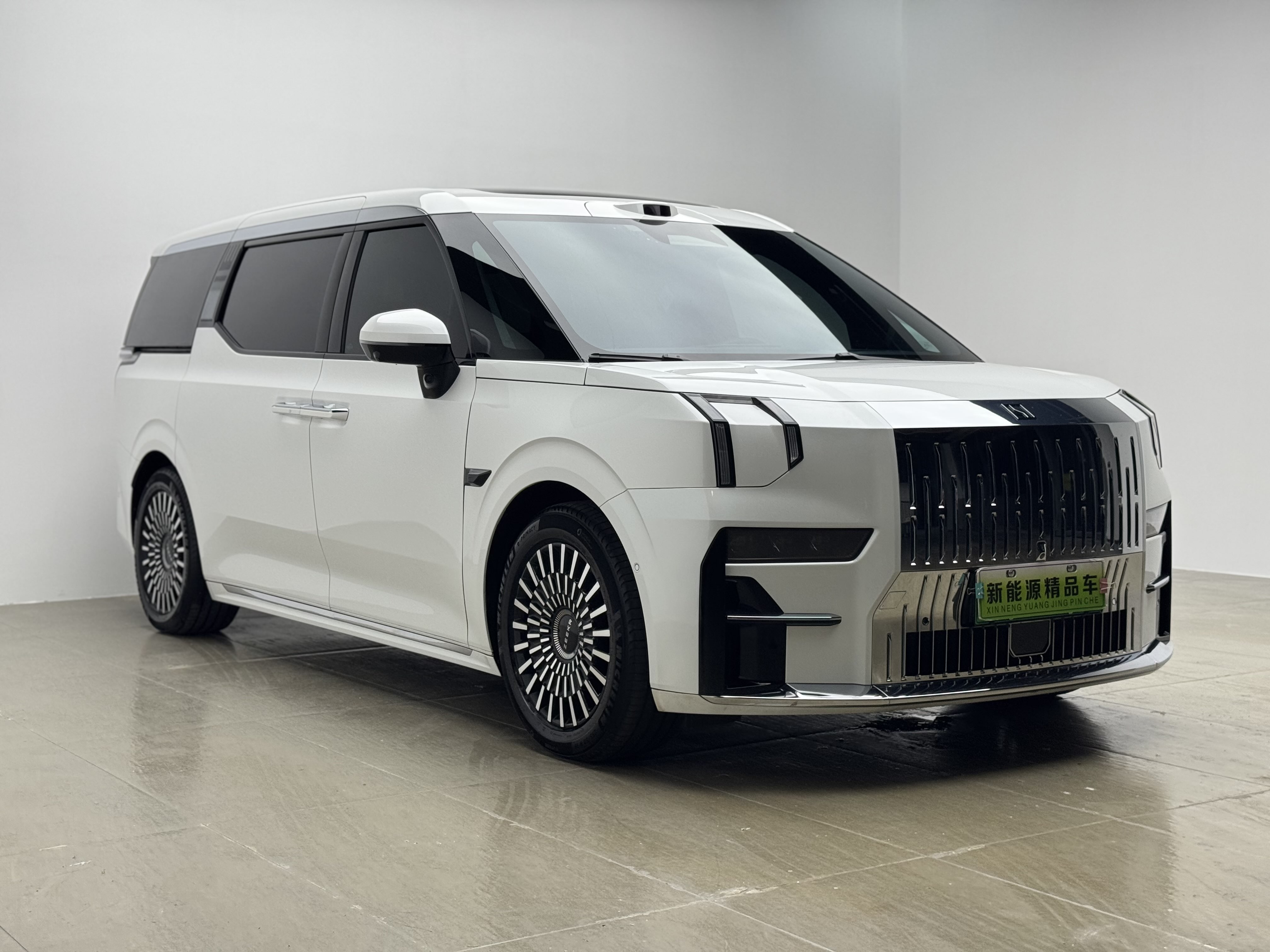 极氪 极氪009 2024 汽车图片 #3