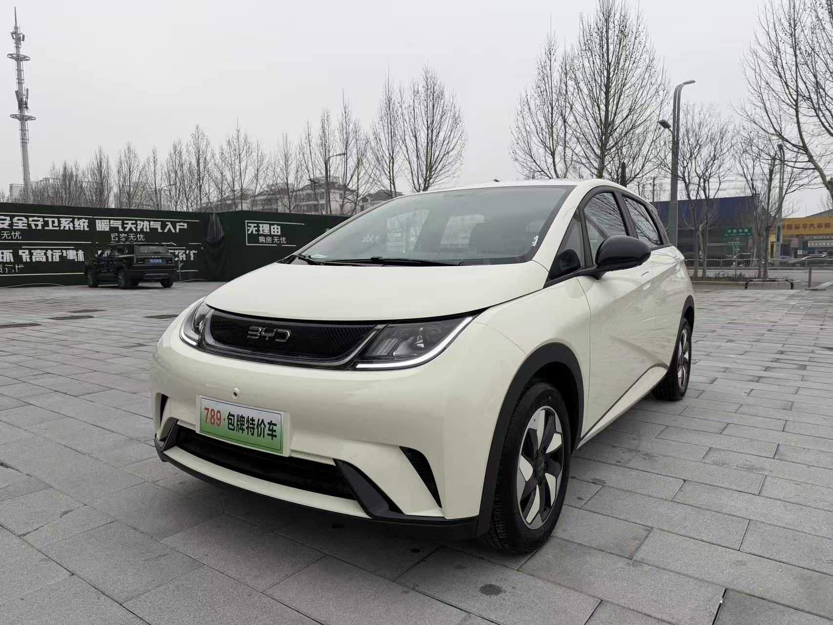 BYD Dolphin 2026 #3 BYD Dolphin 2026 car image #3