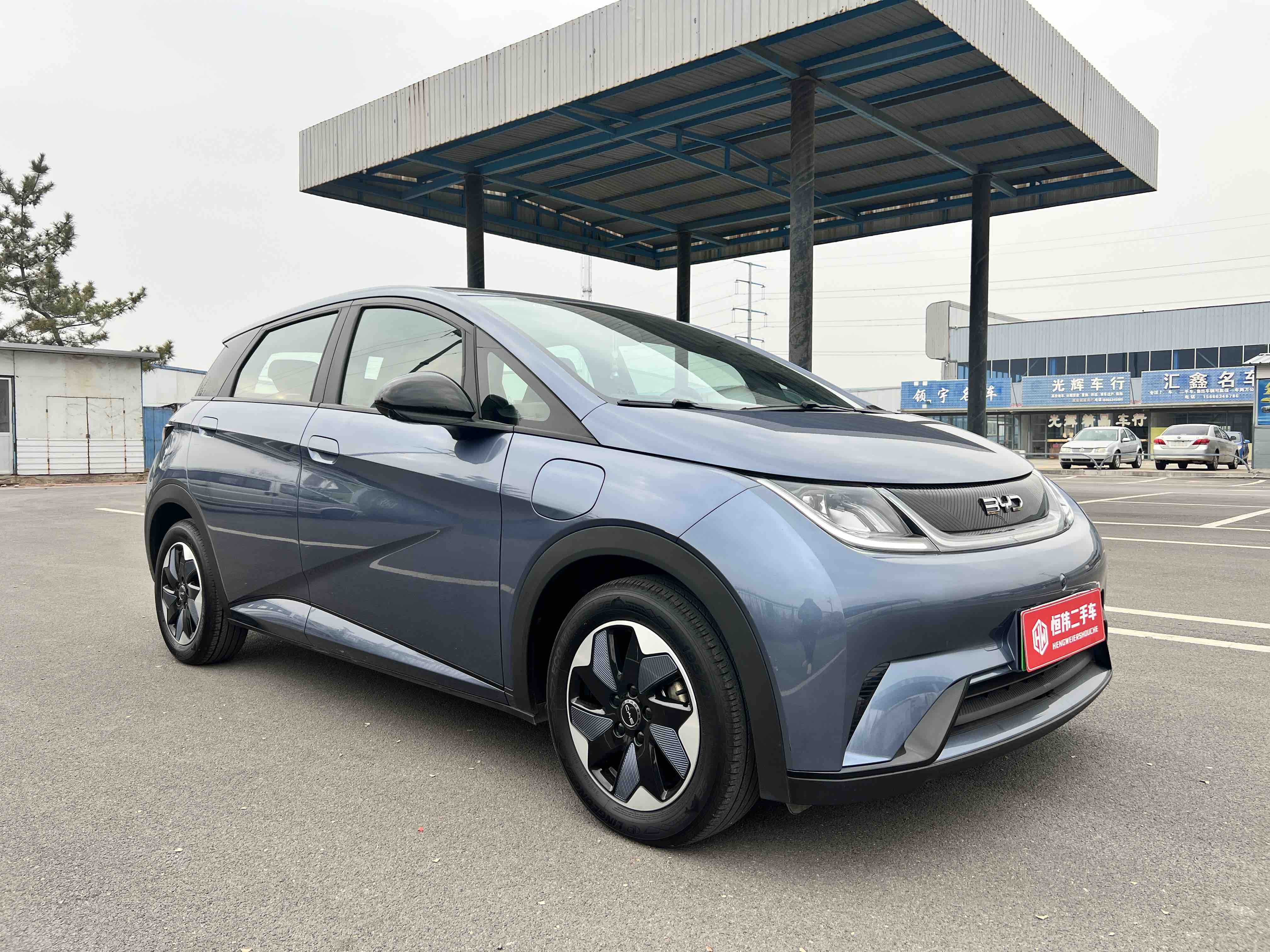 BYD Dolphin 2025 car image #3