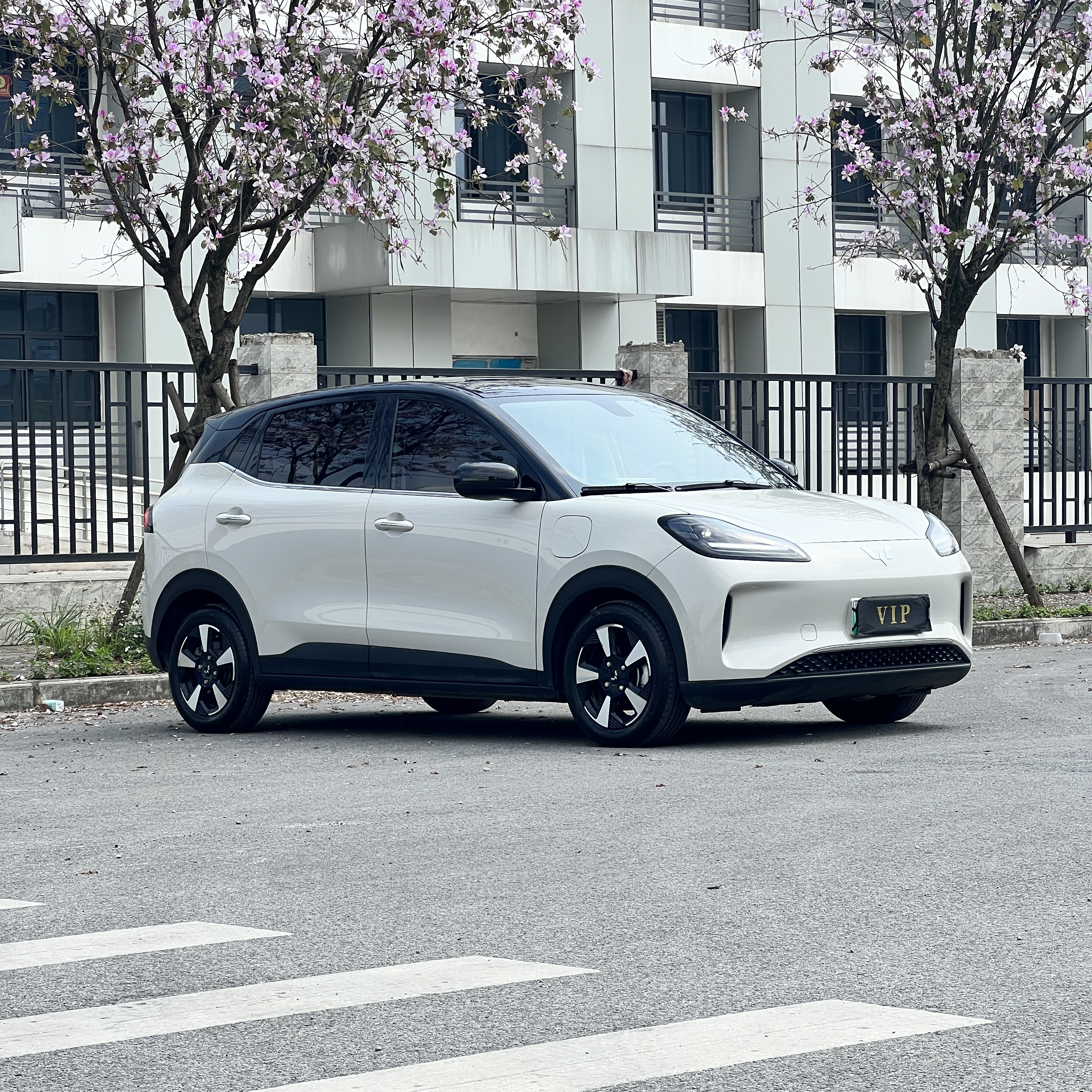 Wuling Binguo PLUS 2024 image de voiture #3