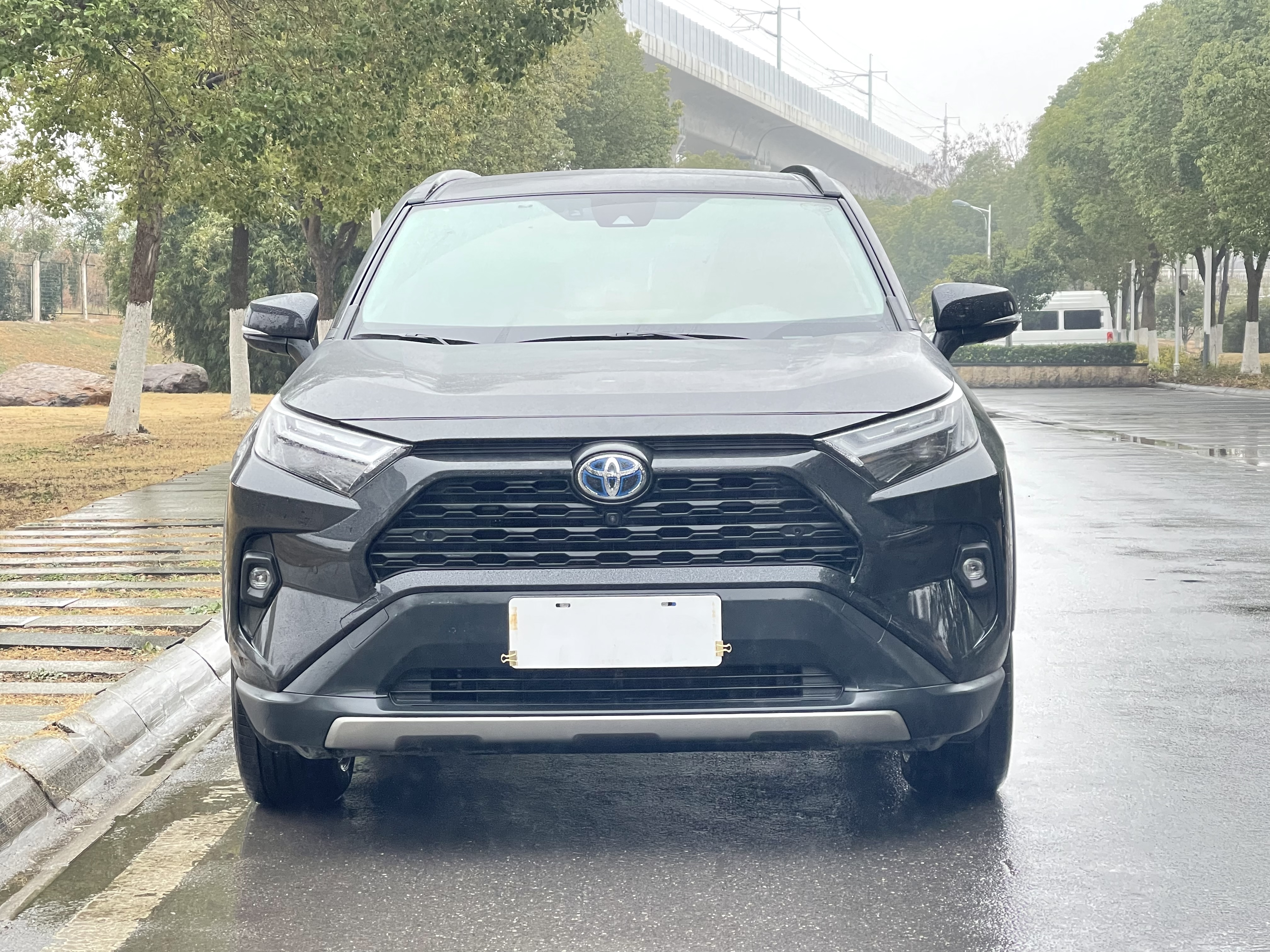 Toyota RAV4 2025 car image #3