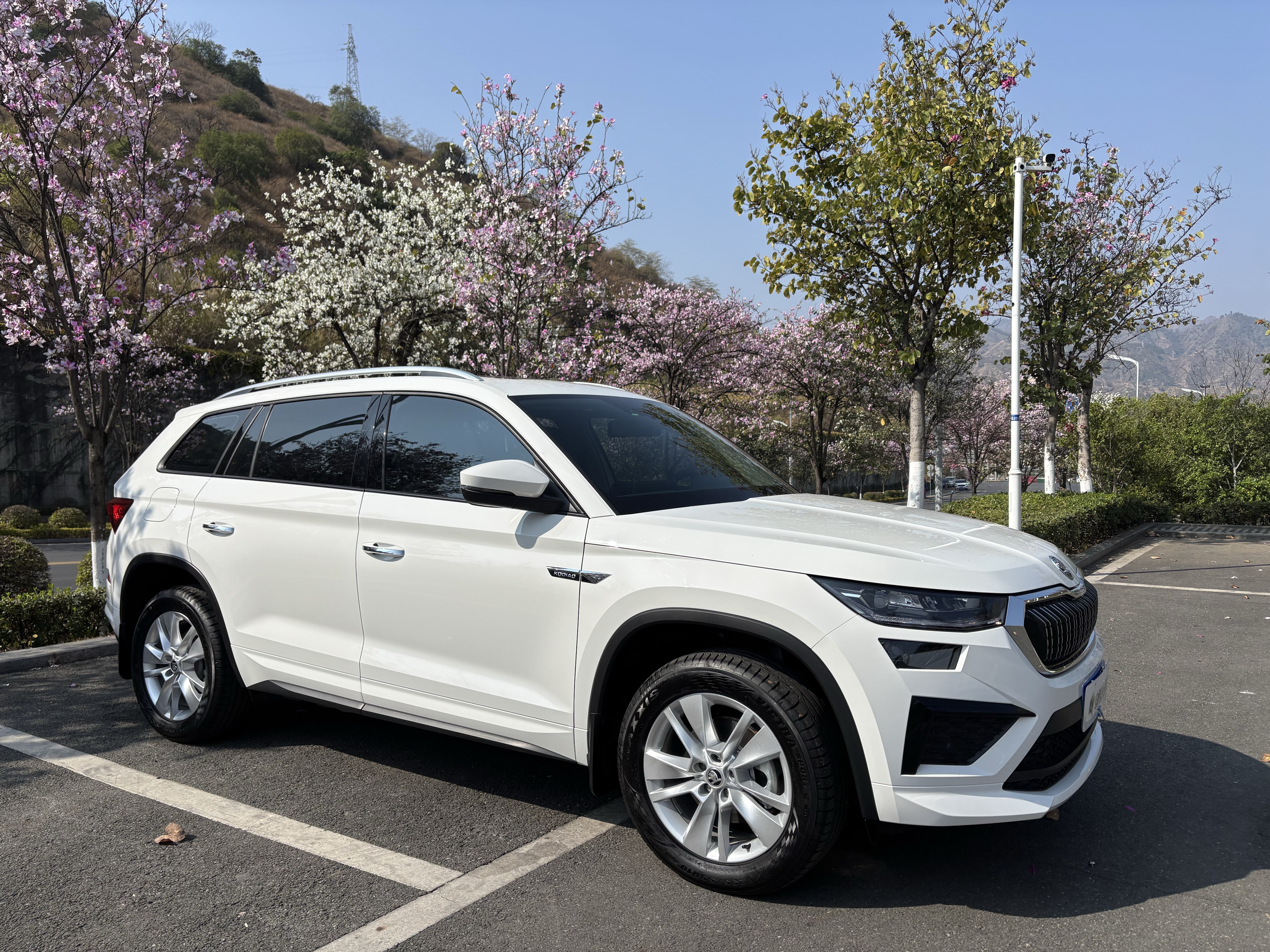 Skoda Kodiaq 2025 صورة سيارة #3
