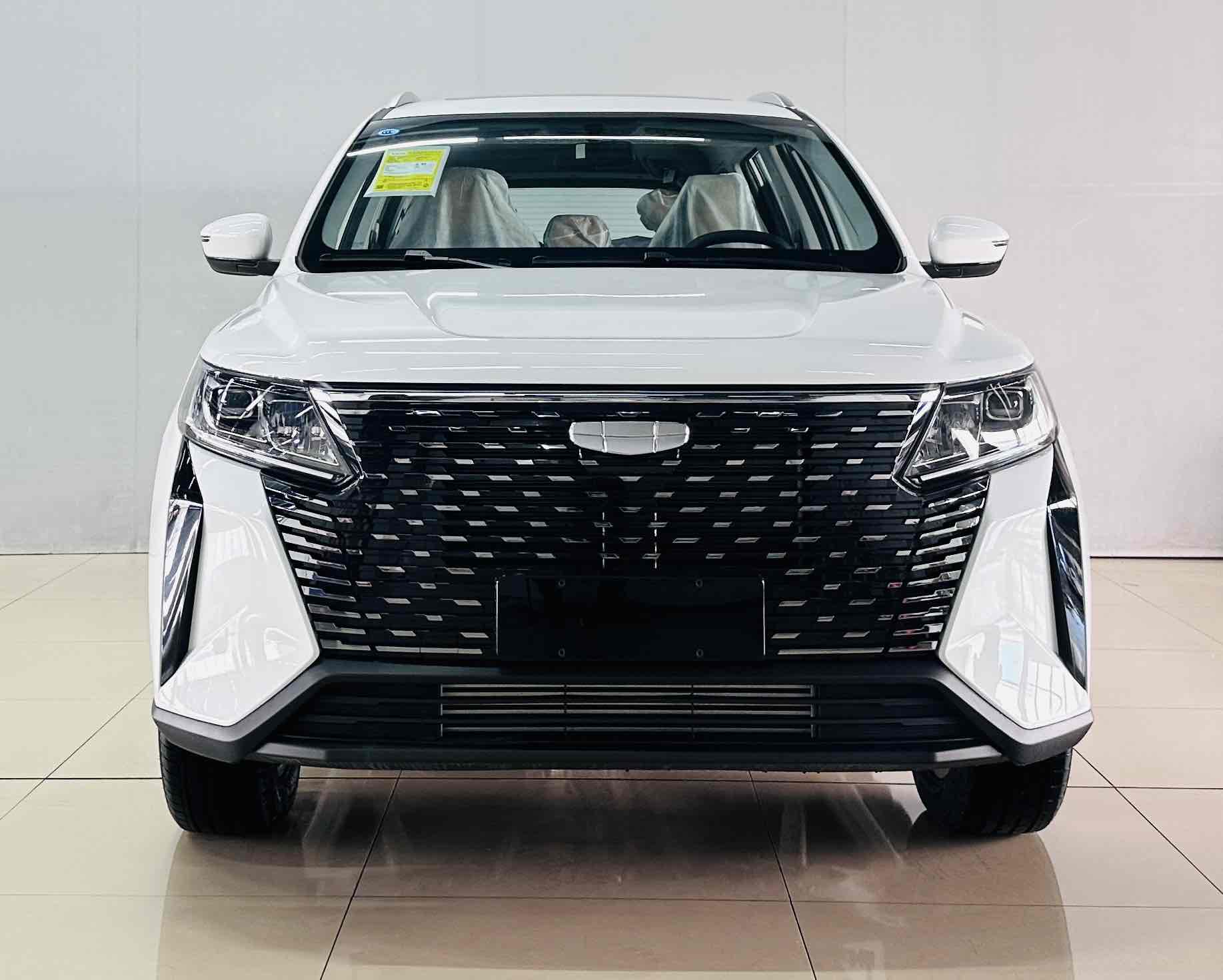 GEELY OkavangoPRO 2025 car image #3