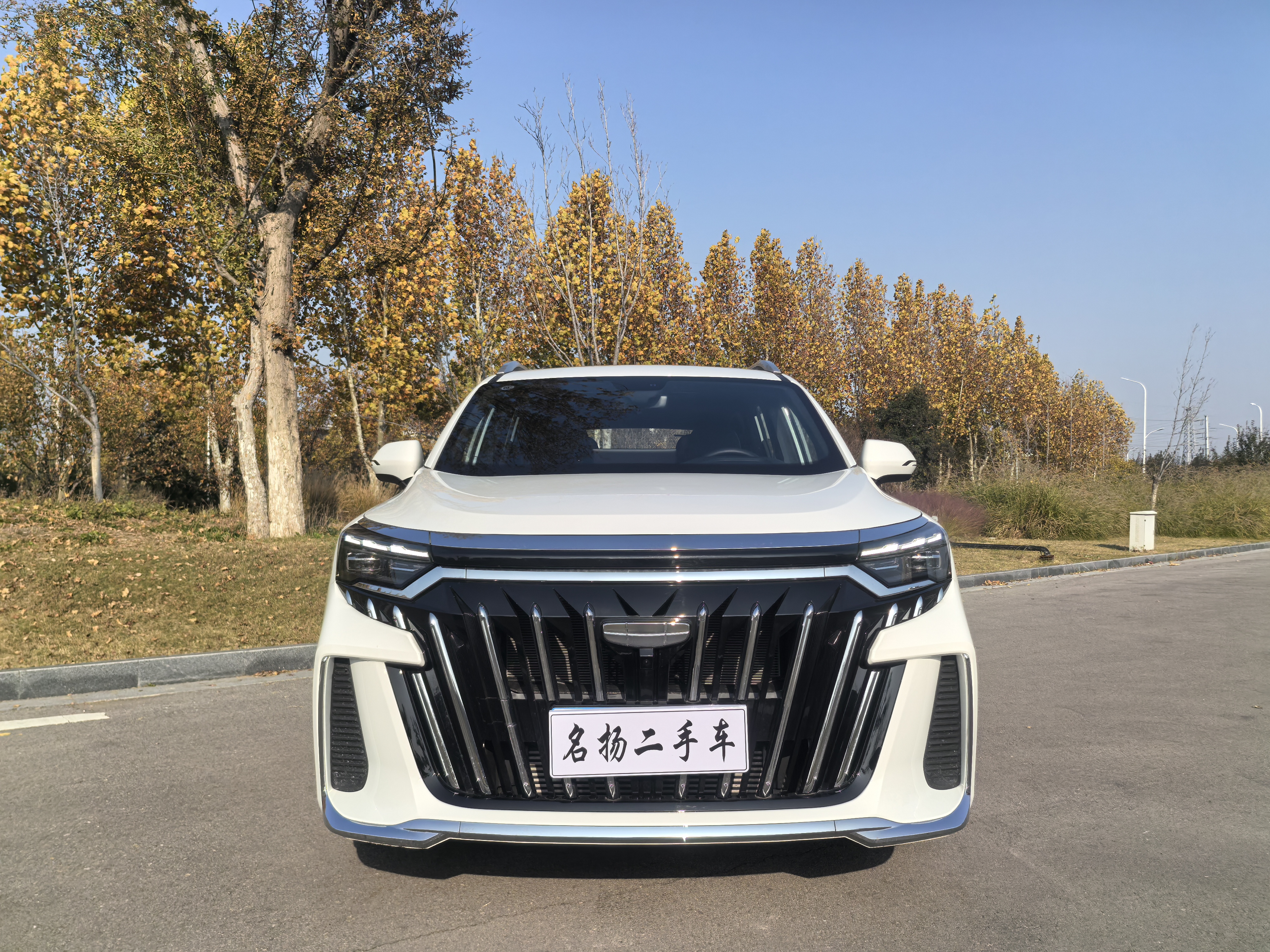 GEELY Okavango L 2024 immagine di auto #3