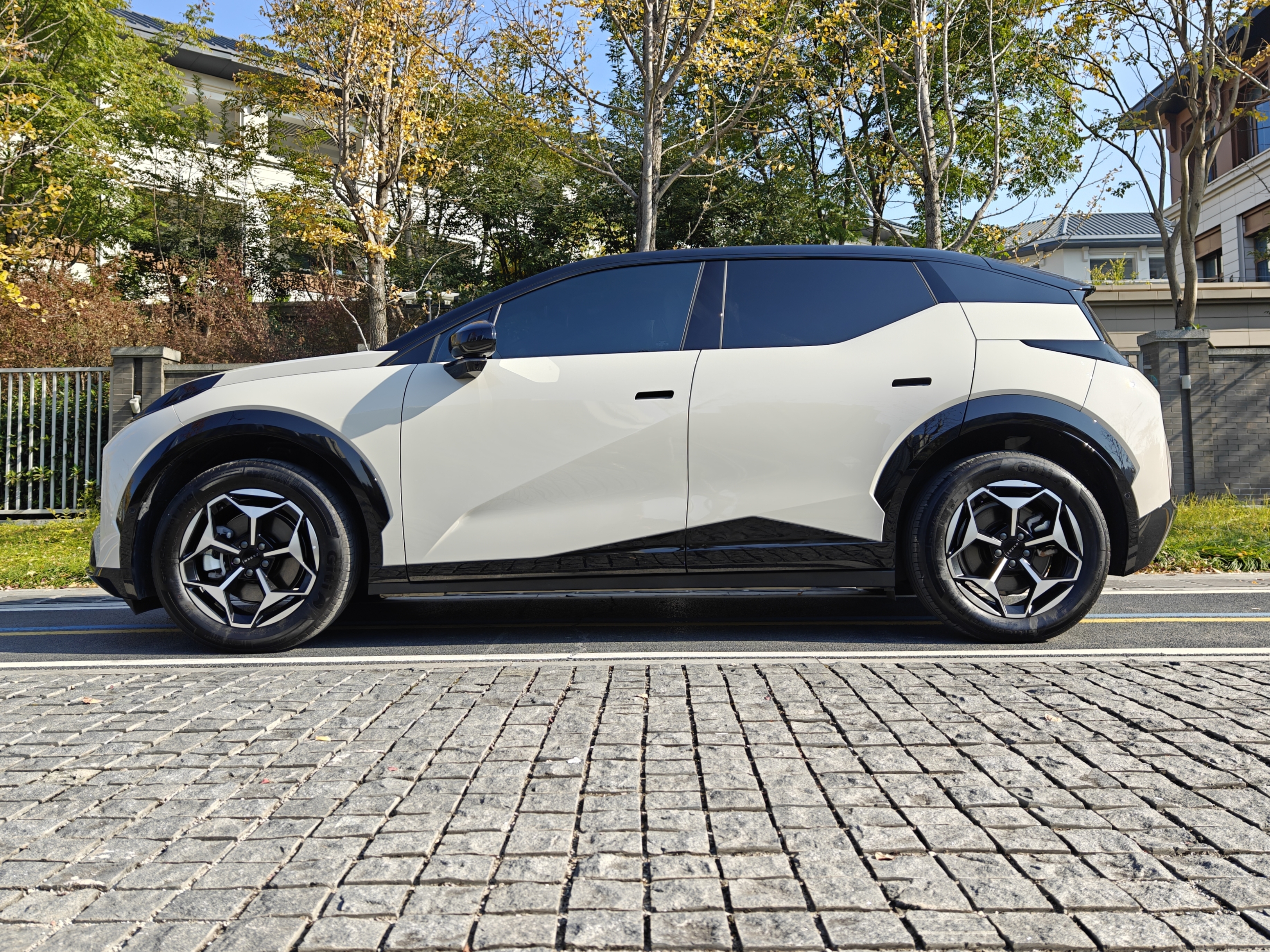 极氪 极氪X 2025 汽车图片 #3