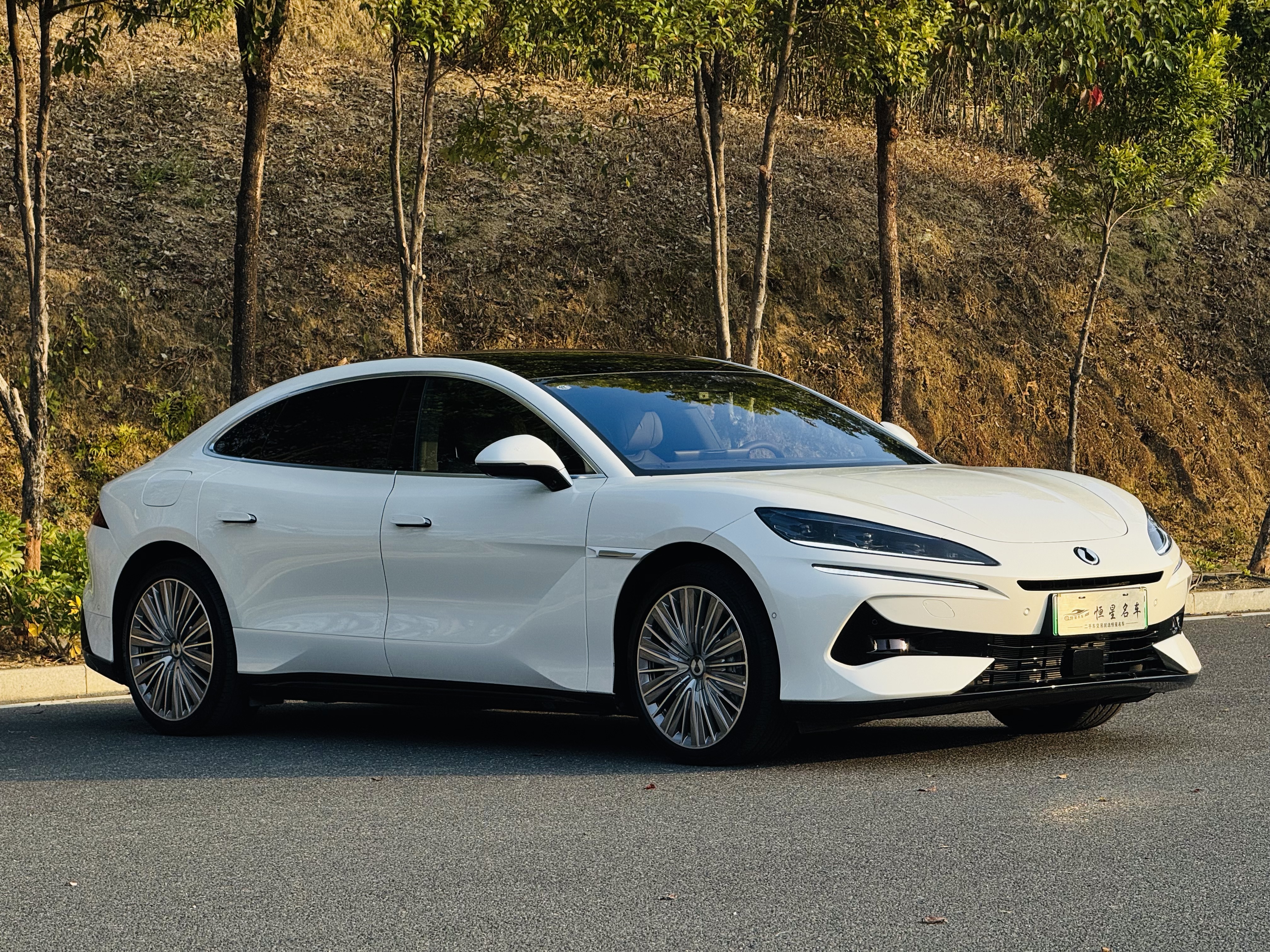 Denza Z9 2025 car image #3