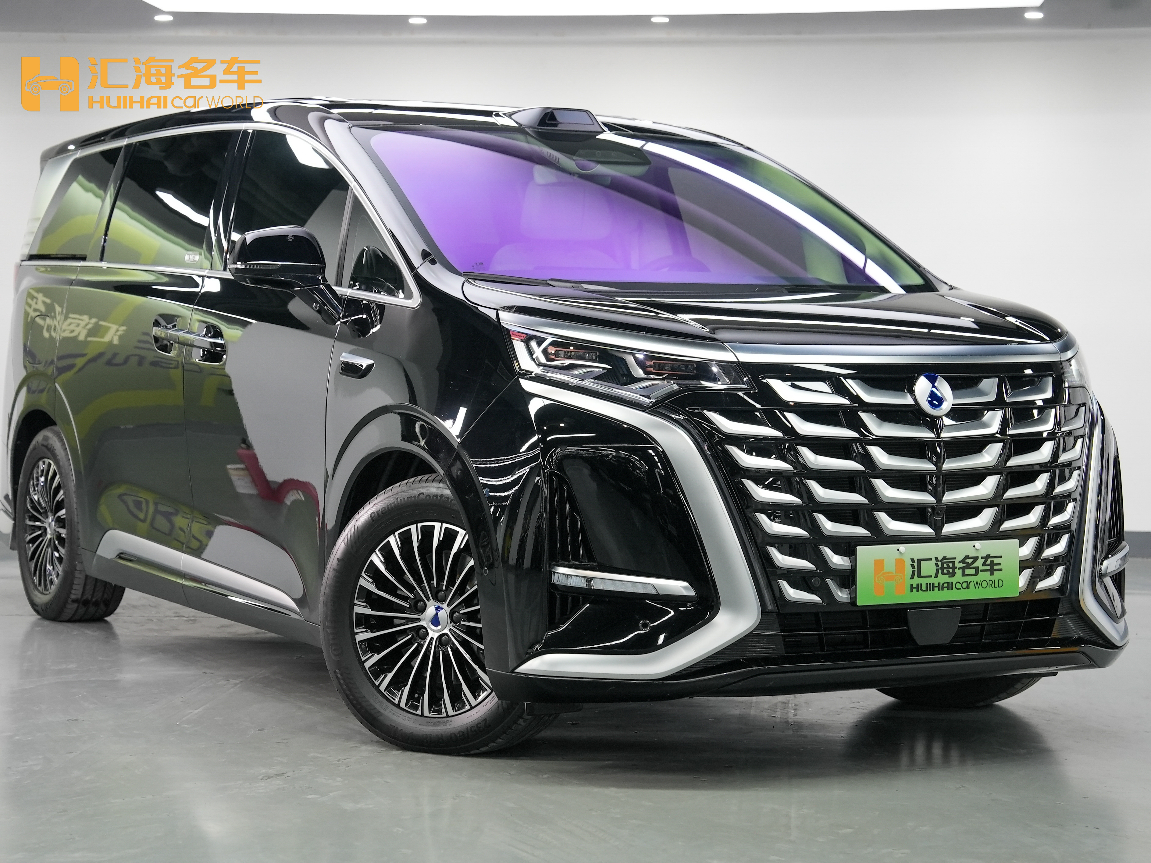 Denza D9 2025 image de voiture #3