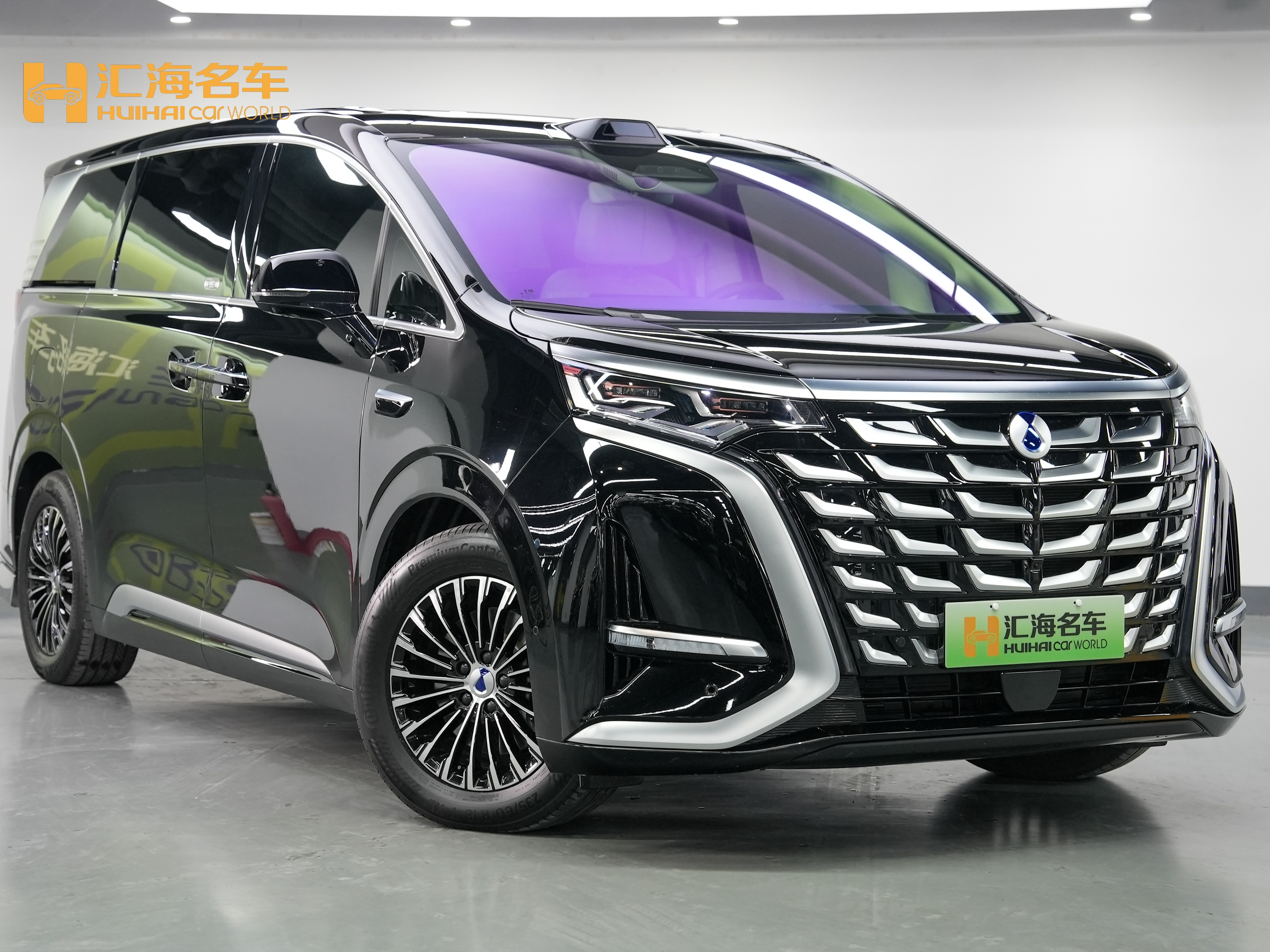 Denza D9 2025 immagine di auto #3